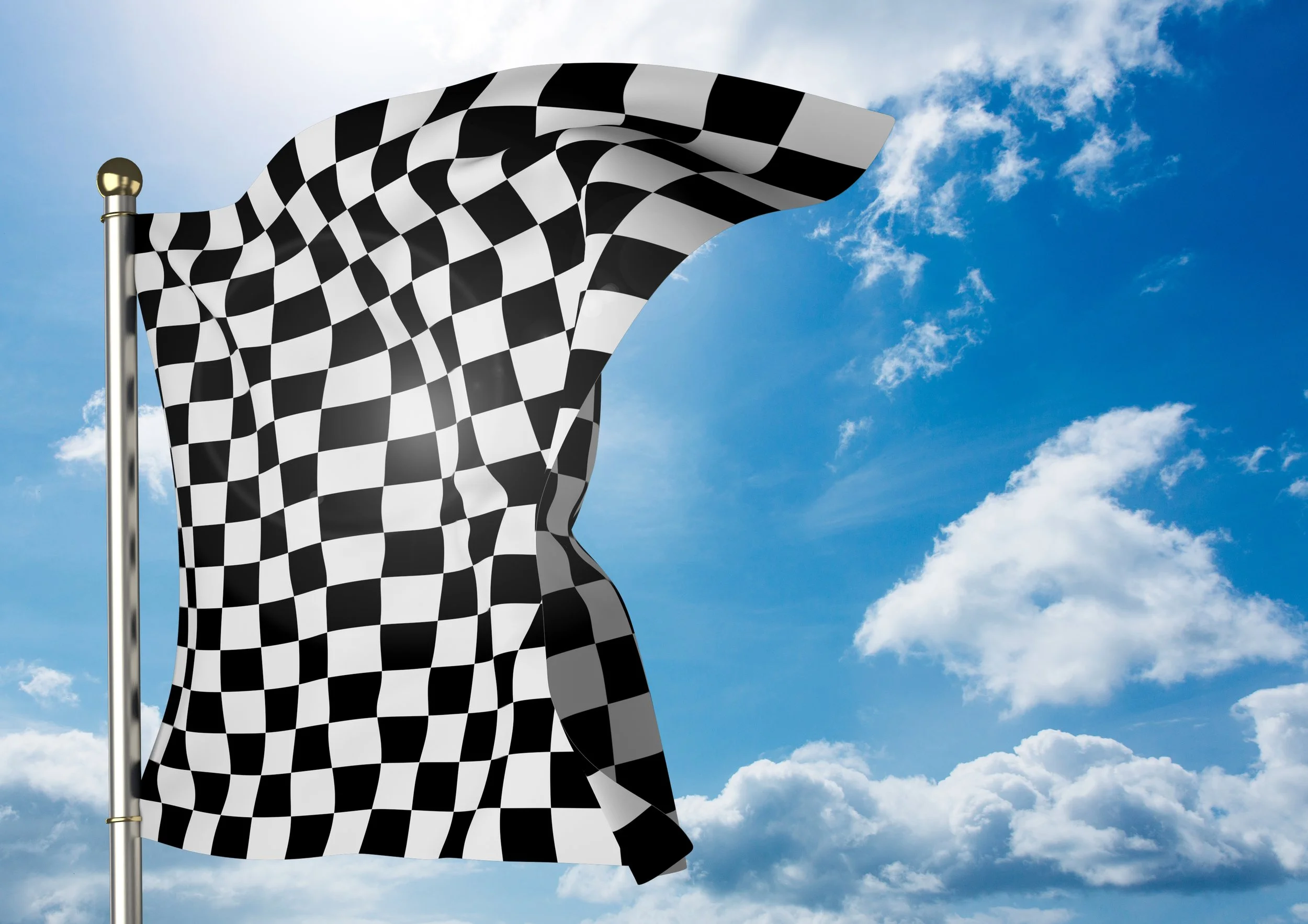 What Do The Various Motor Racing Flags Mean TOC Automotive College