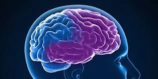 Check your Brain Health