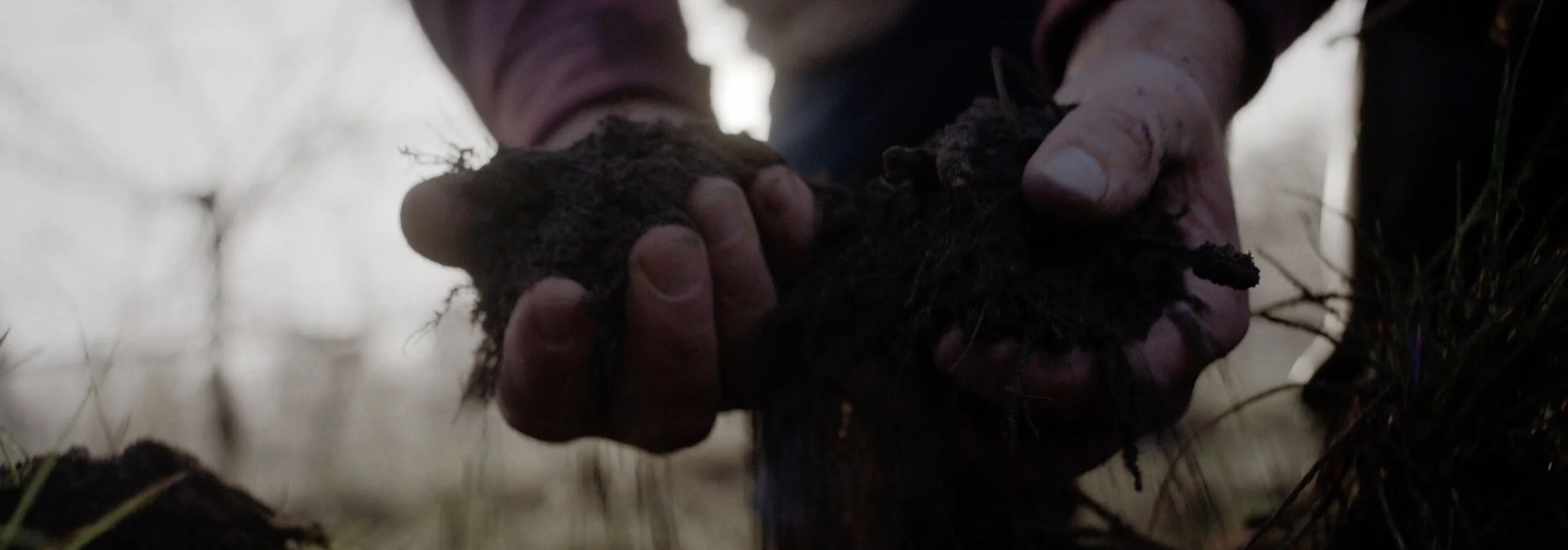 Handpicked Wines ~ Passion Shared