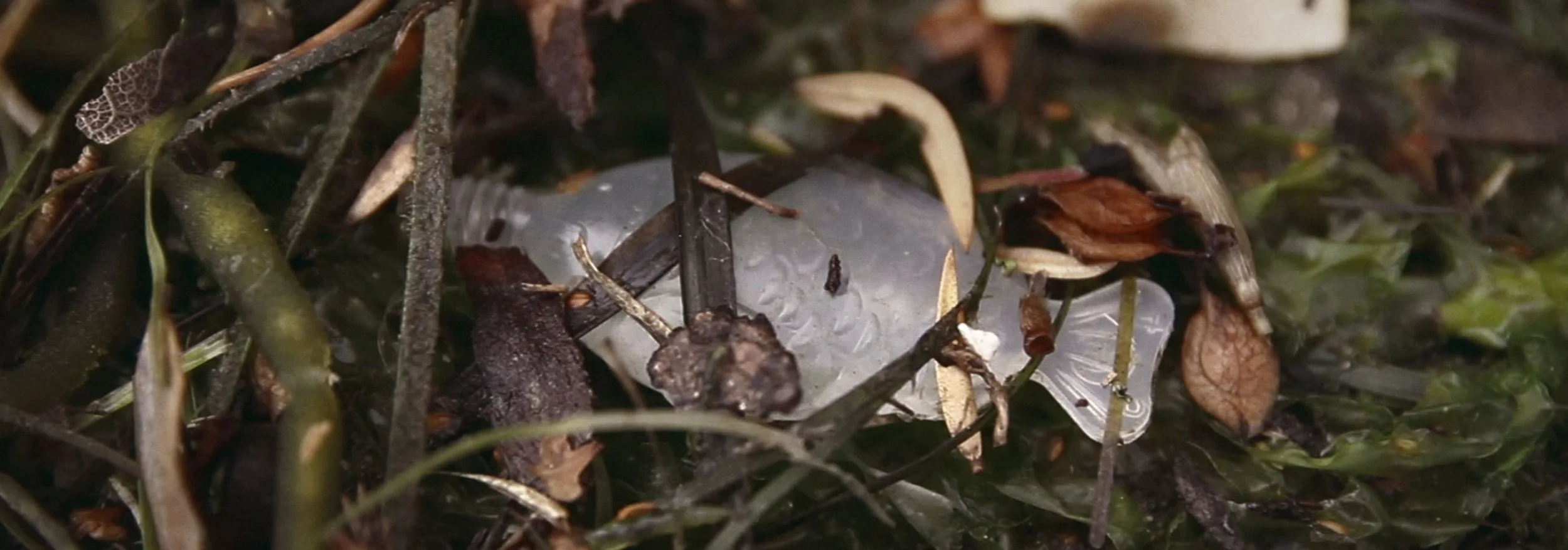 BAYKEEPERS ~ Documentary