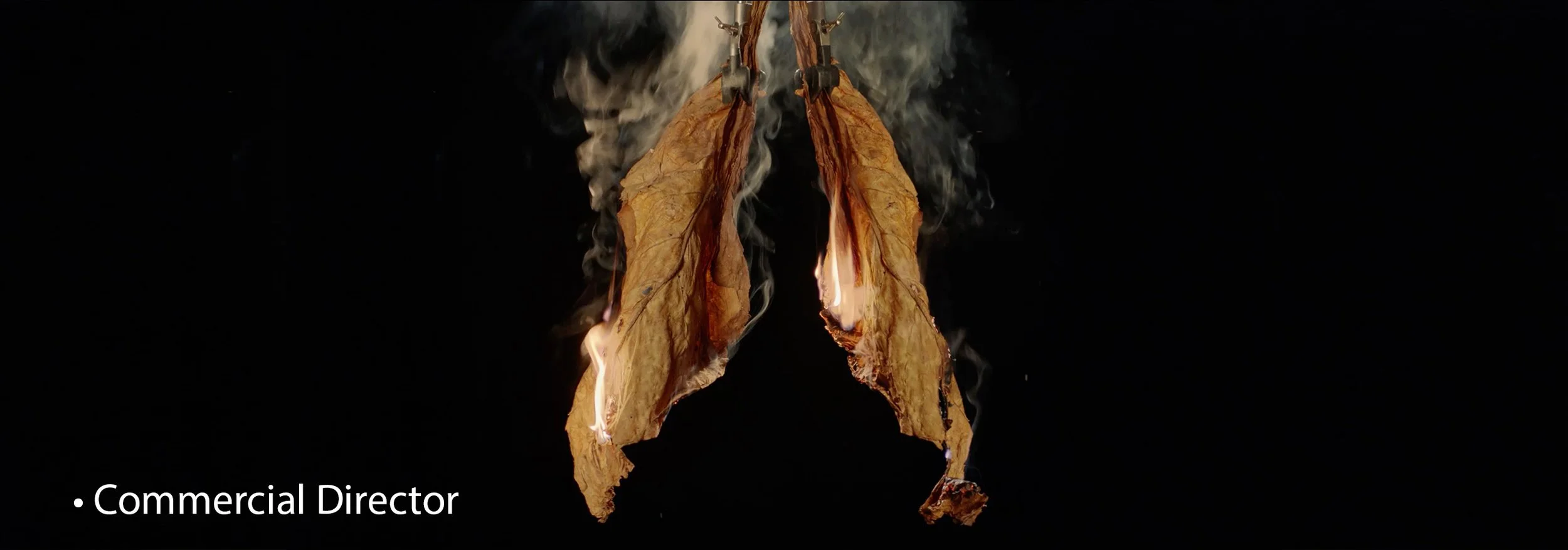 Quit ~ The Con That Kills