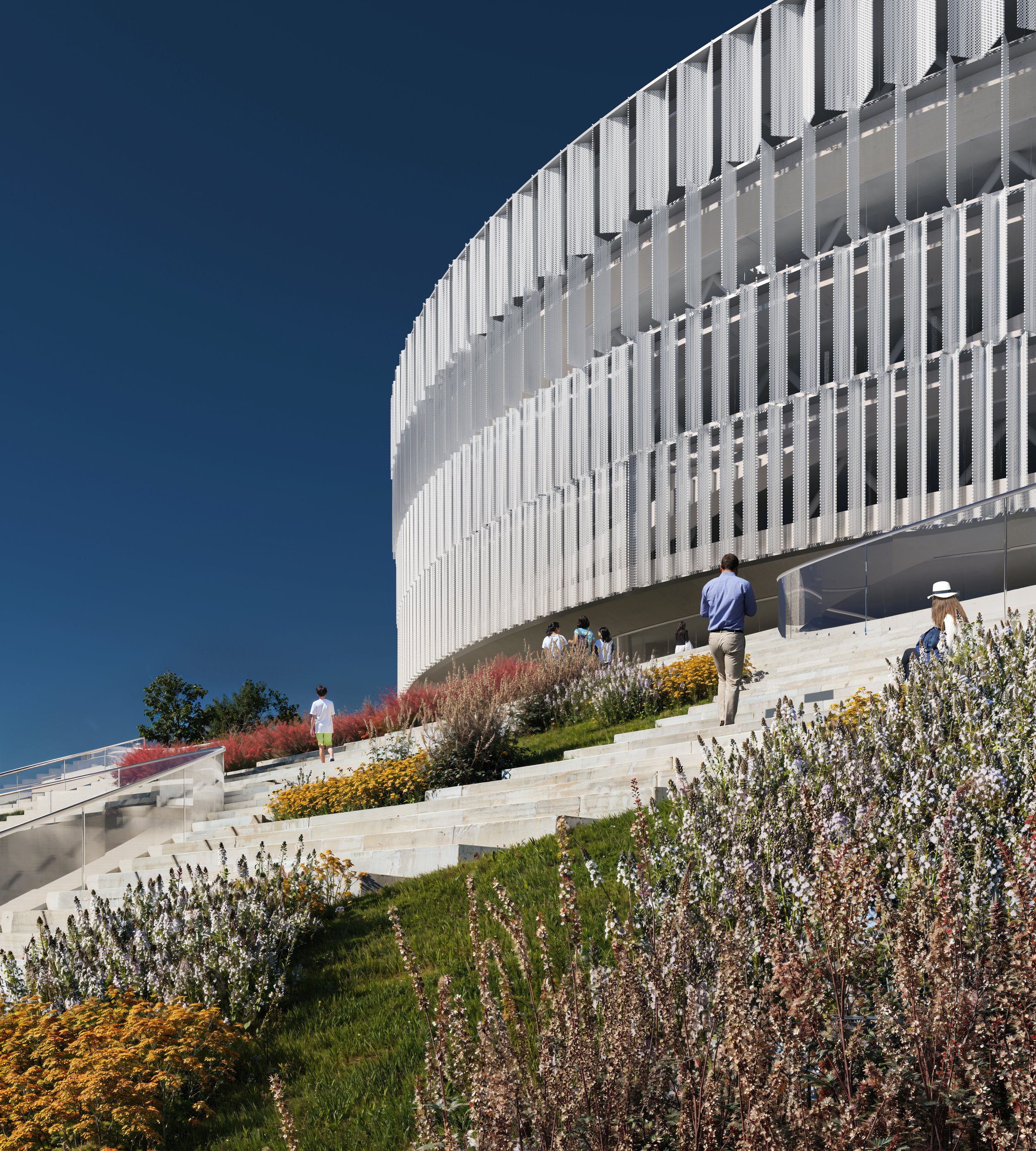 V02_COLLINA_250405 copia.jpg