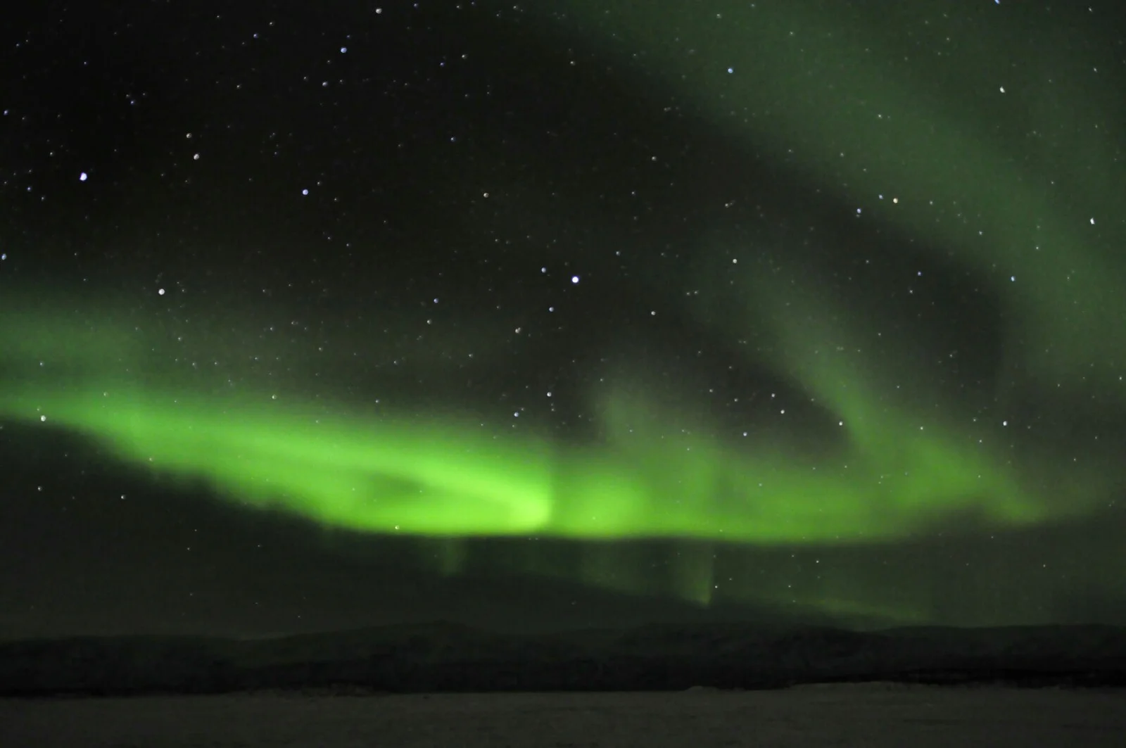 _DSC5954-01.jpeg