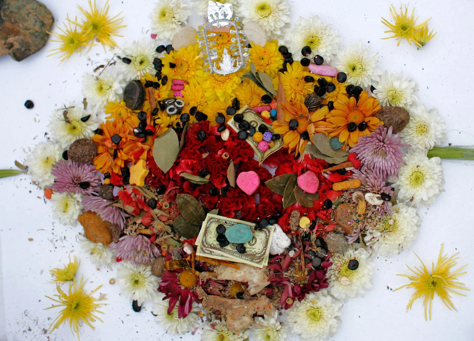 performance_jardin14_ceciliacollantes+copy.jpg