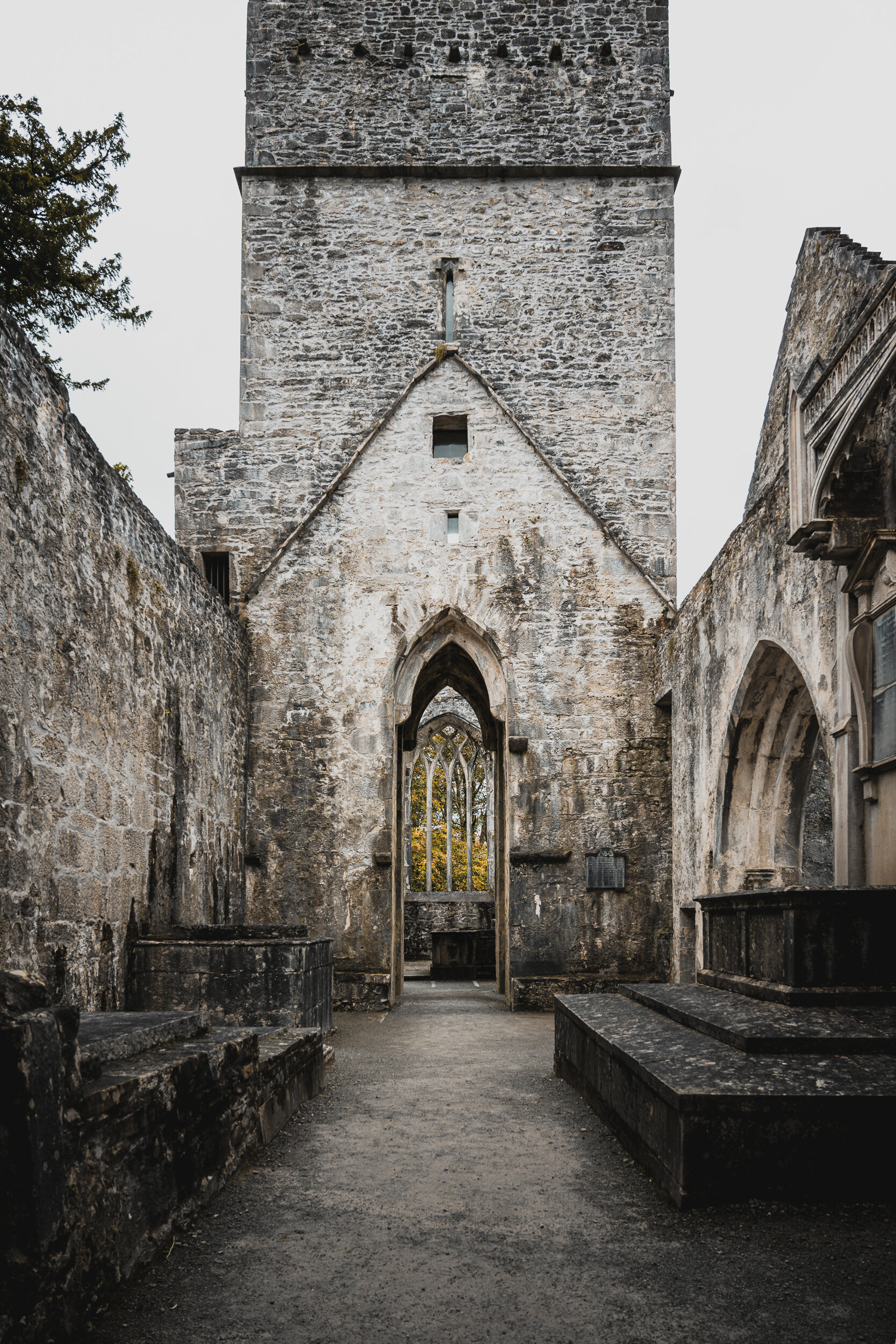  Muckross Abbey 