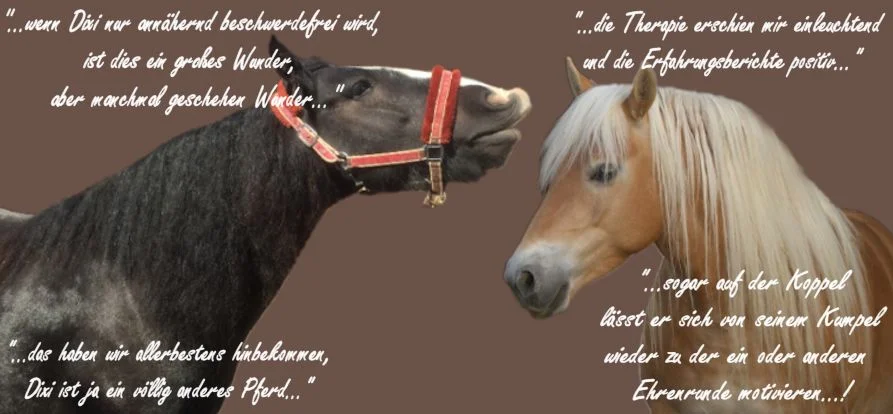RTEmagicC_Erfahrung_Haaranalyse.jpg.jpg