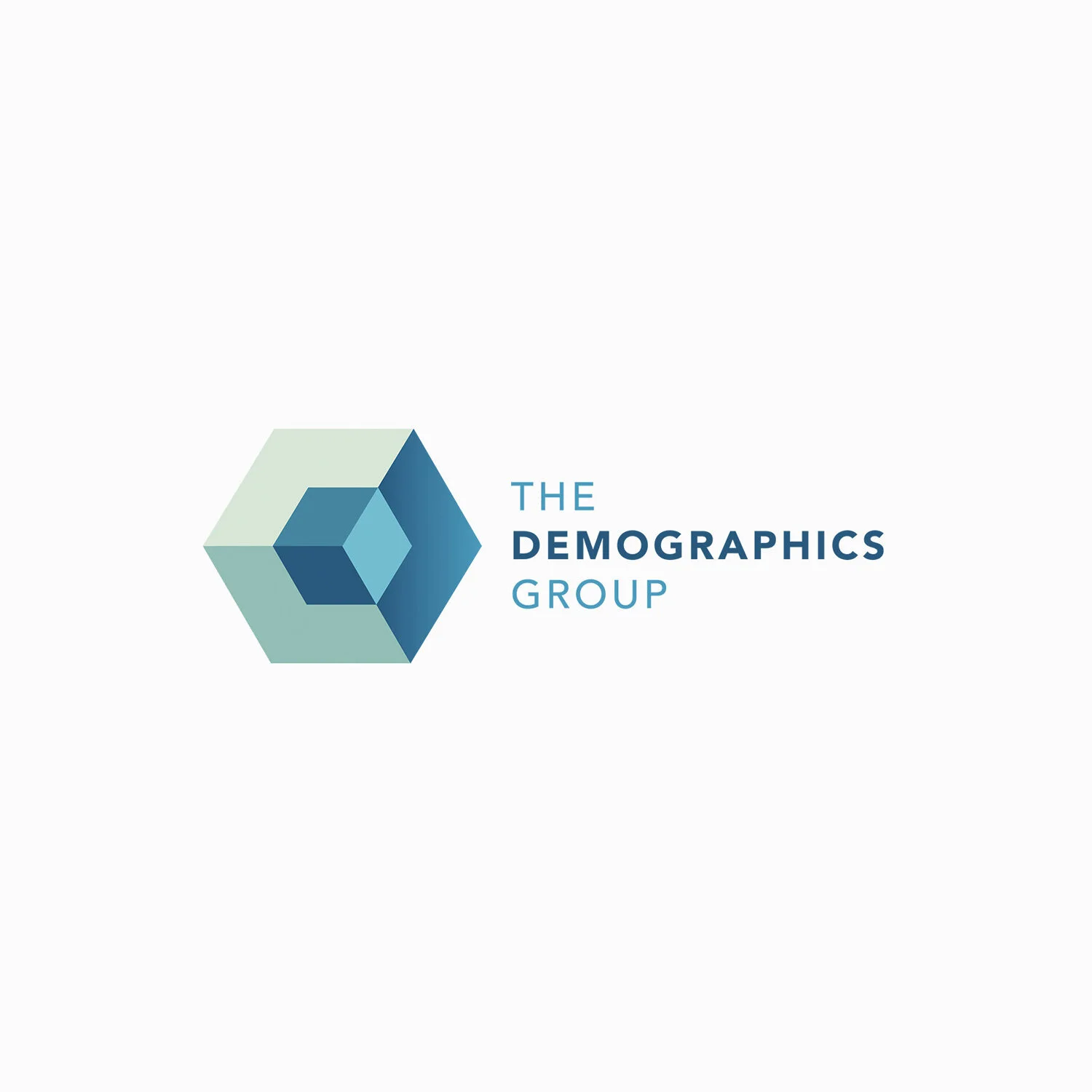 The Demographics Group
