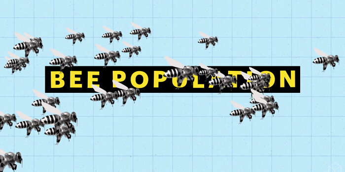 BoxMedia AIDA Trailer.jpeg