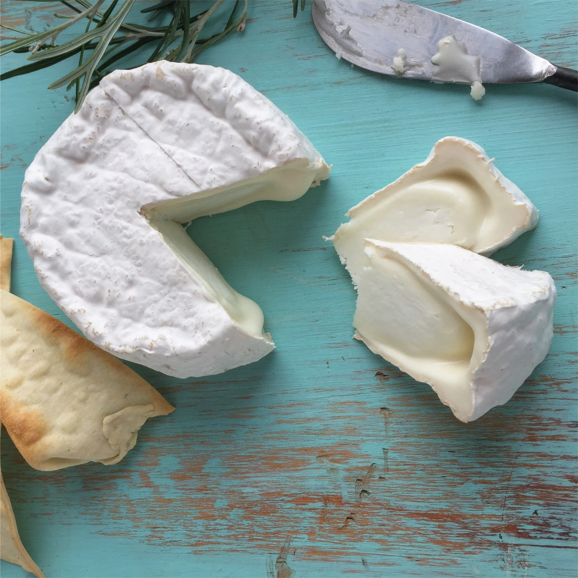 Bloom photo workshop.jpeg