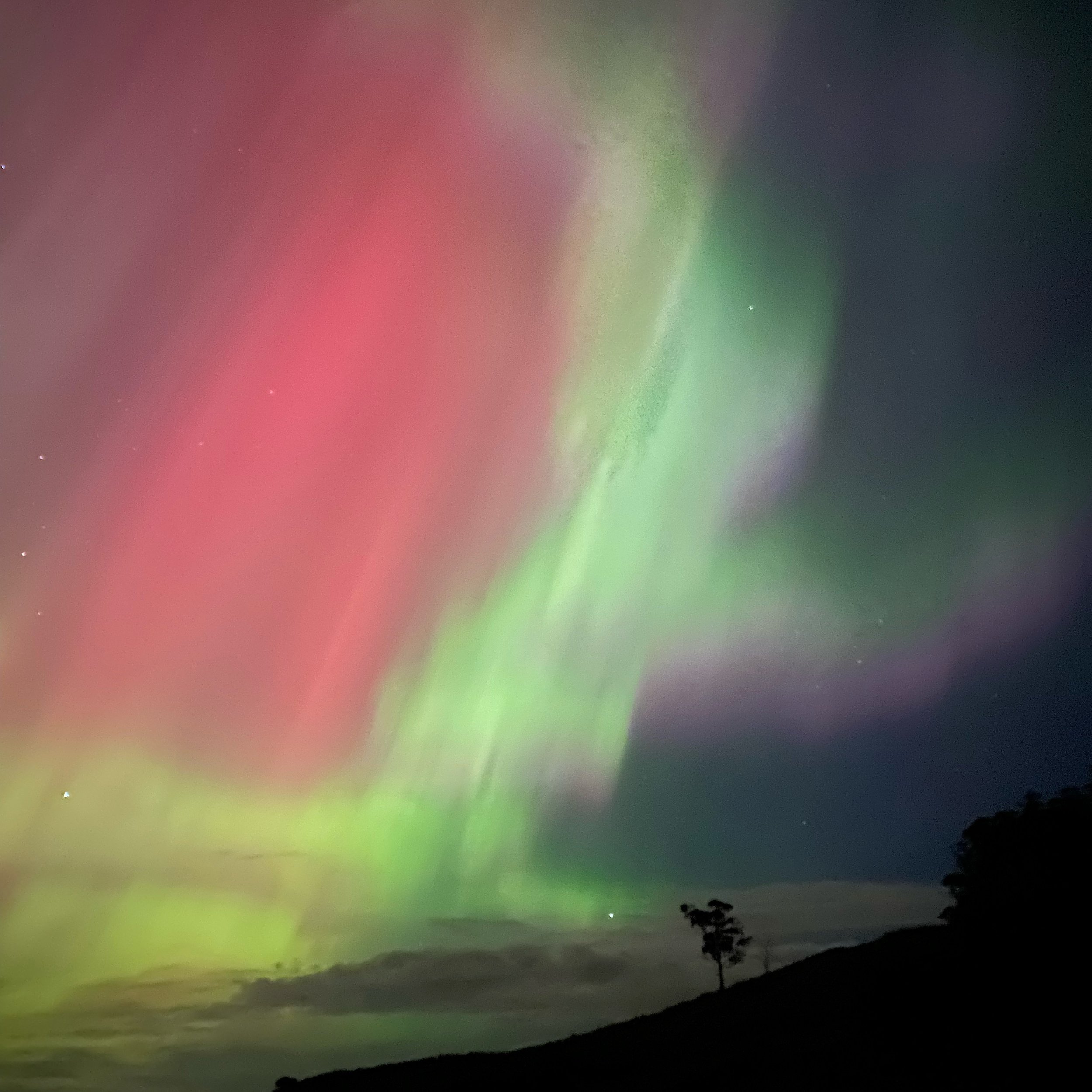 Just a cheeky #auroraaustralis pic from last night. The goats didn&rsquo;t seem to notice!