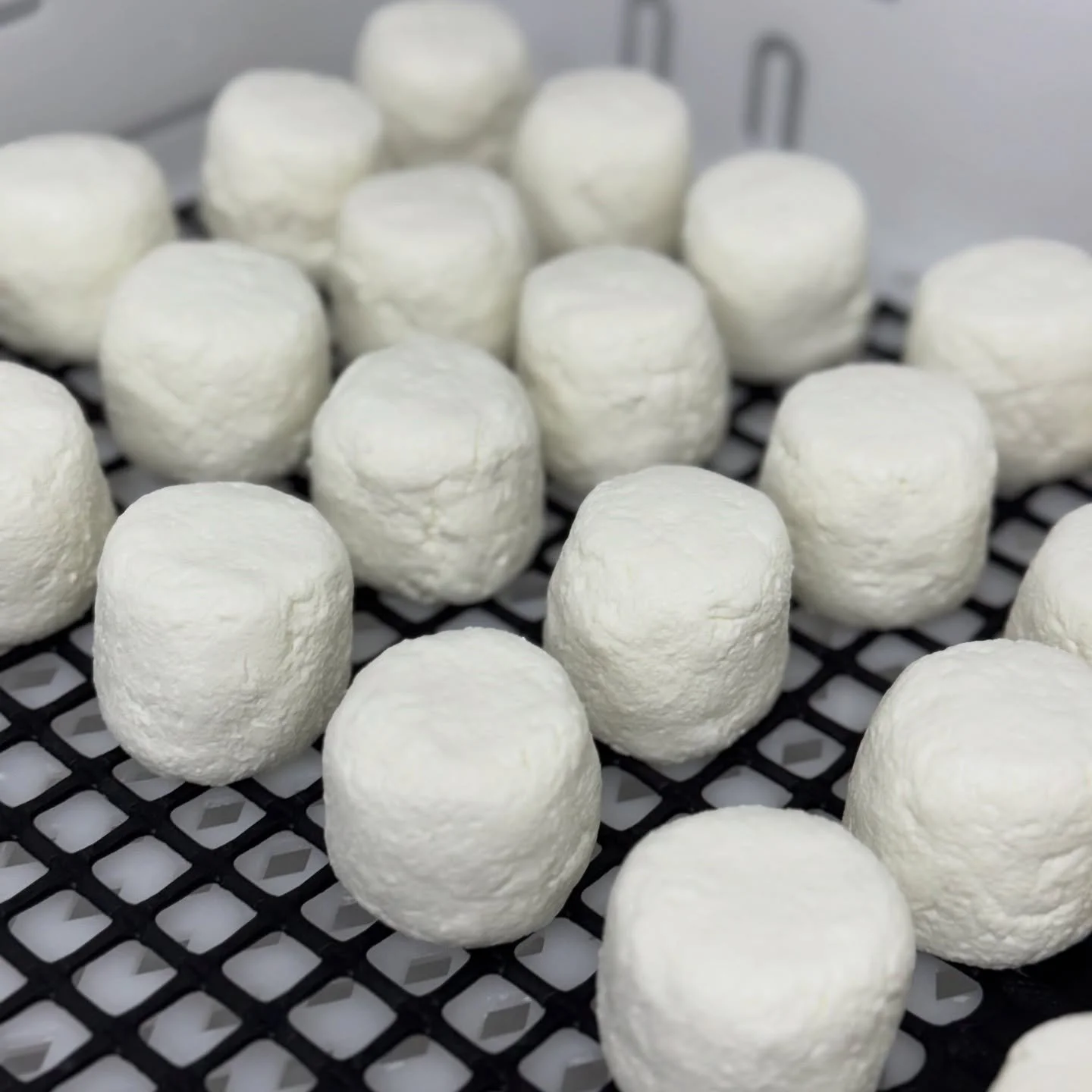 We&rsquo;re back with FRESH new season&rsquo;s cheese at @breamcreekfarmersmarket this Sunday, 2nd Nov. we will also have our @leapfarm and @leapful.skin supplies. And the chooks have been laying well, so lots of eggs available too. 
🧀 Curdy 125g an