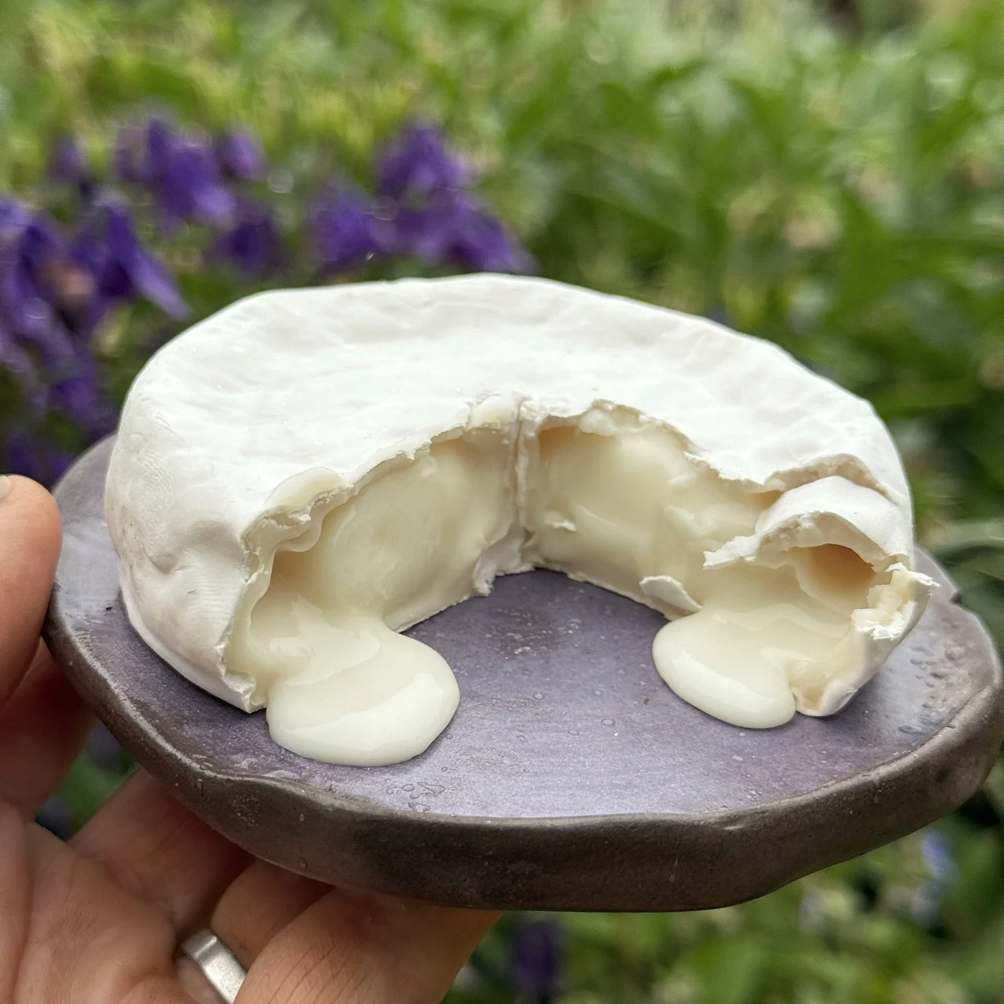 Beautiful, delicious Bloom, available this Sunday when Iain heads to @farmgatemarket. The Blooms he is bringing will be perfect for your New Year&rsquo;s celebrations. The question is, can you keep it in the fridge that long?

He will also have:
?