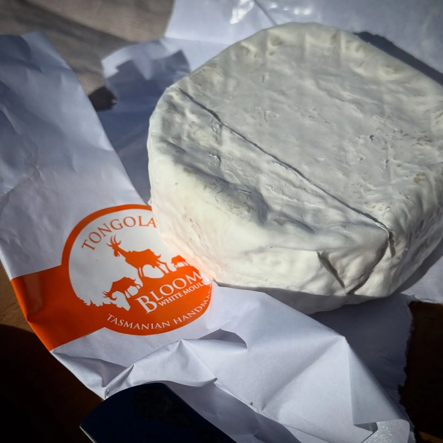 This Bloom&hellip; perfect for the New Year. Can you wait that long? We will have sold them by then, so if you can manage it, head to @farmgatemarket this Sunday from 8.30am to pick some up from Iain. He&rsquo;s near the corner of Criterion &amp; Bat