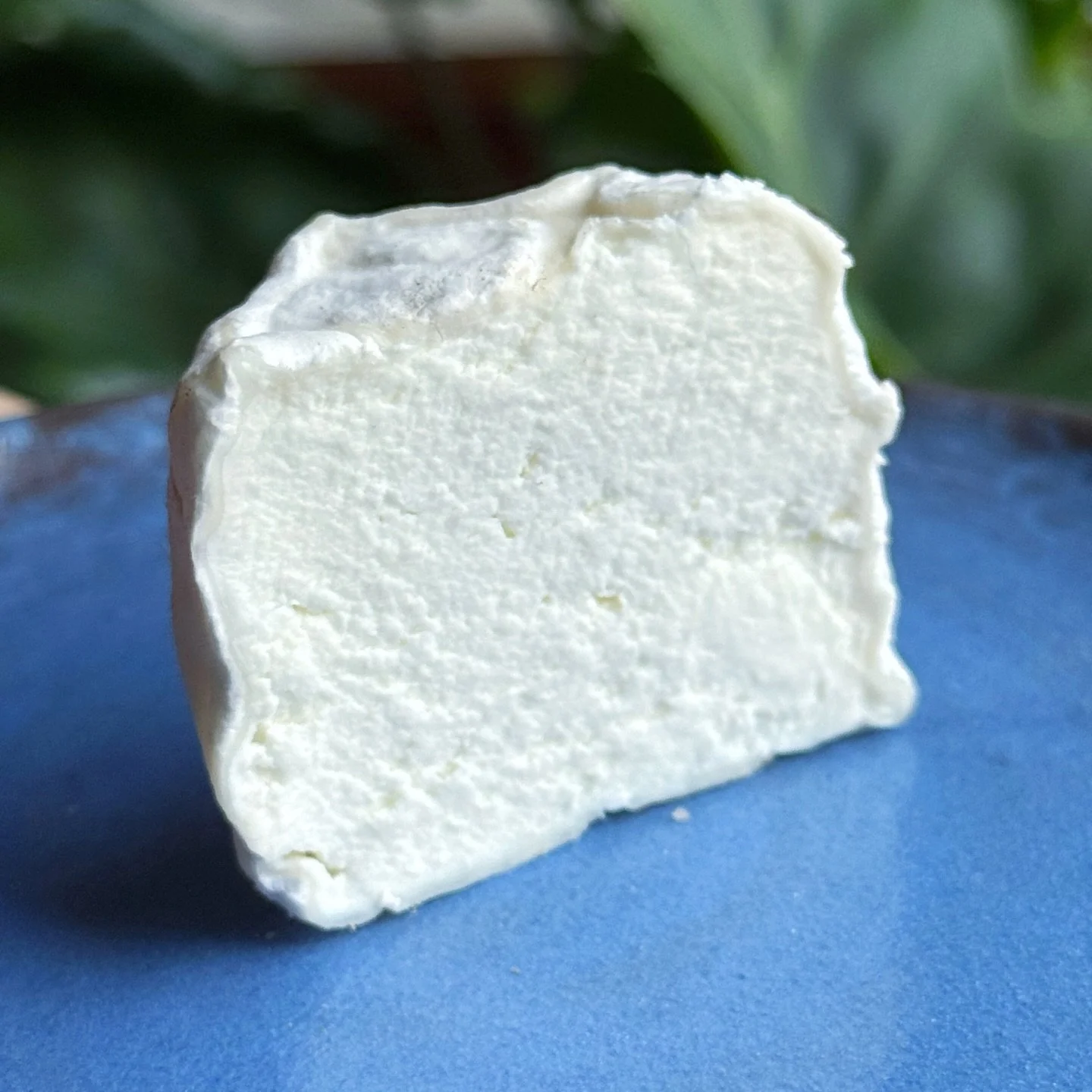 This is a Pippi. She is the little version of a Zo&eacute;, and she is often more mild and gentle on the palate. The cheese I&rsquo;ve pictured is just less than half &ndash; I did have a half, but then it rolled off the plate as I angled it to the l