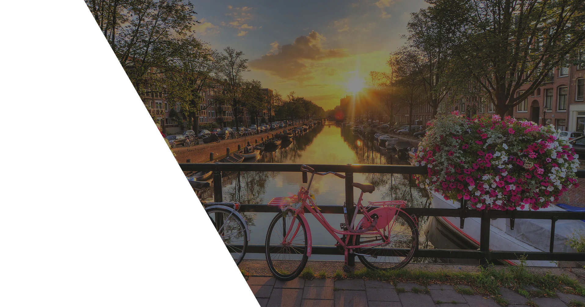 _0003_AMSTERDAM 4_4 copy.jpg