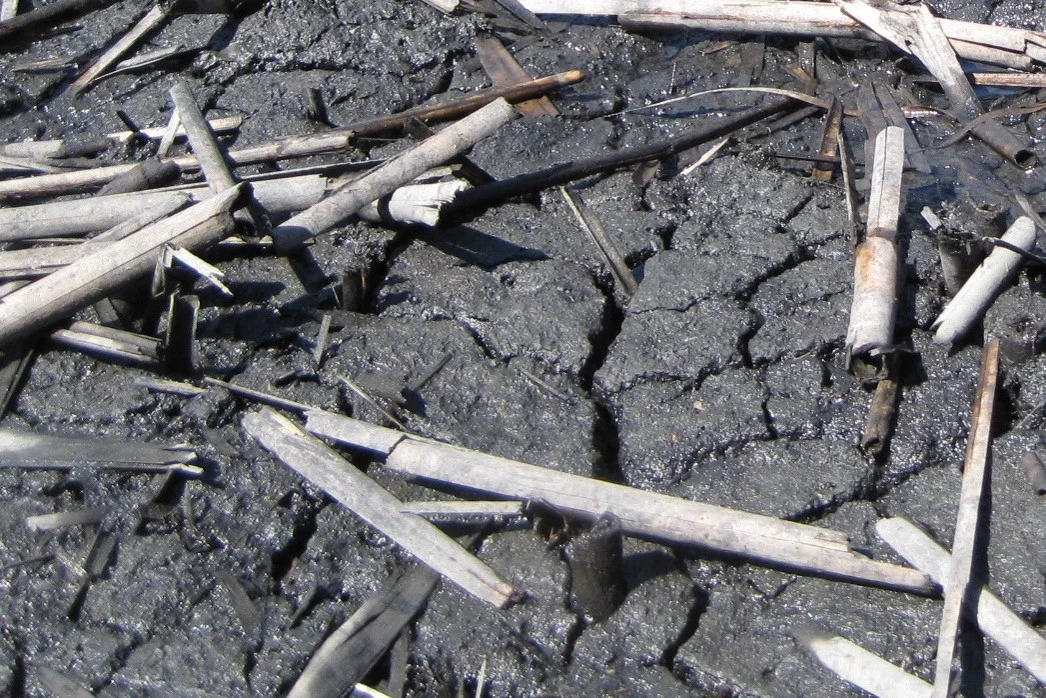 Broken down pellets.jpg
