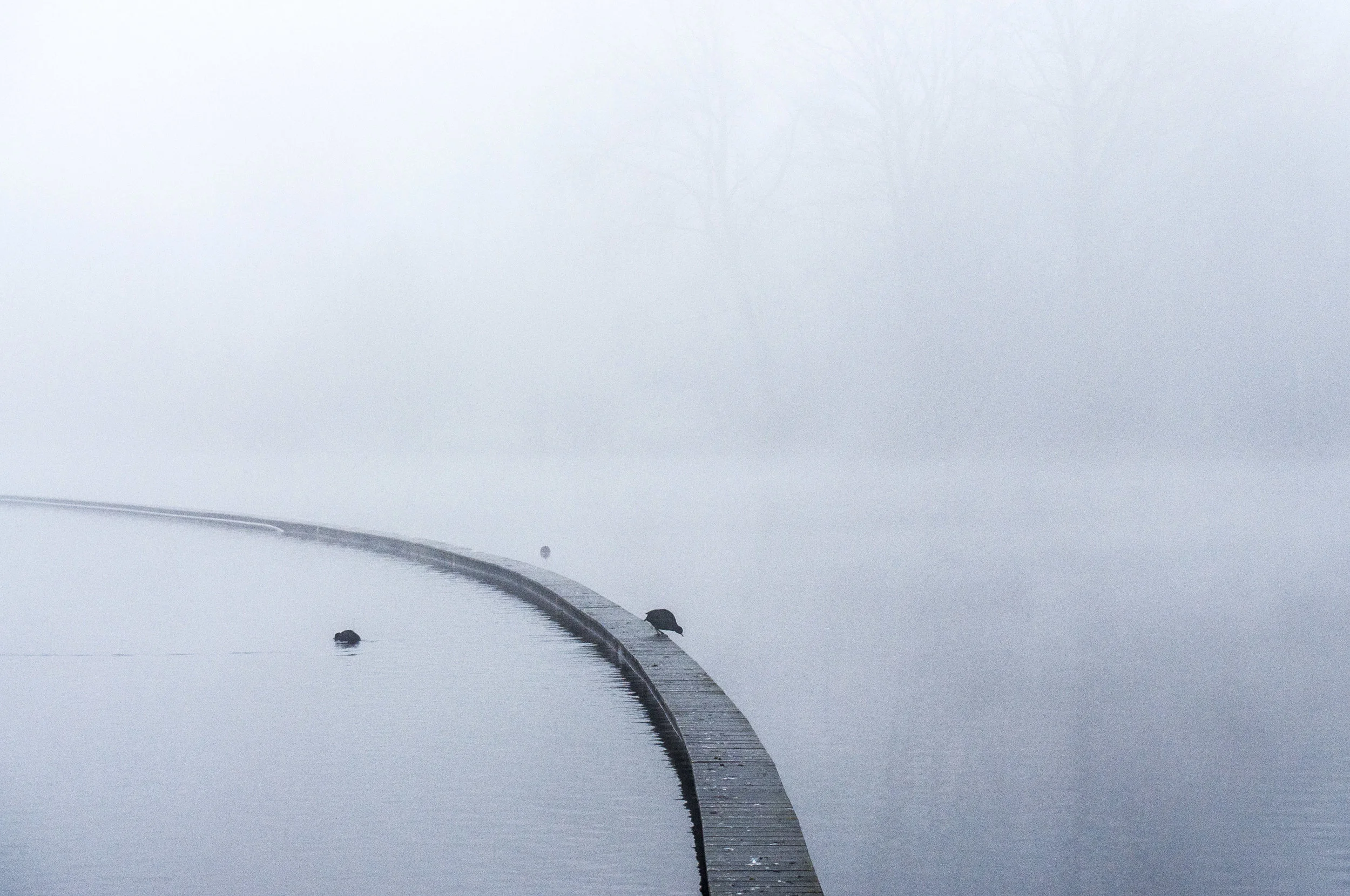 Creative Storytelling.jpg