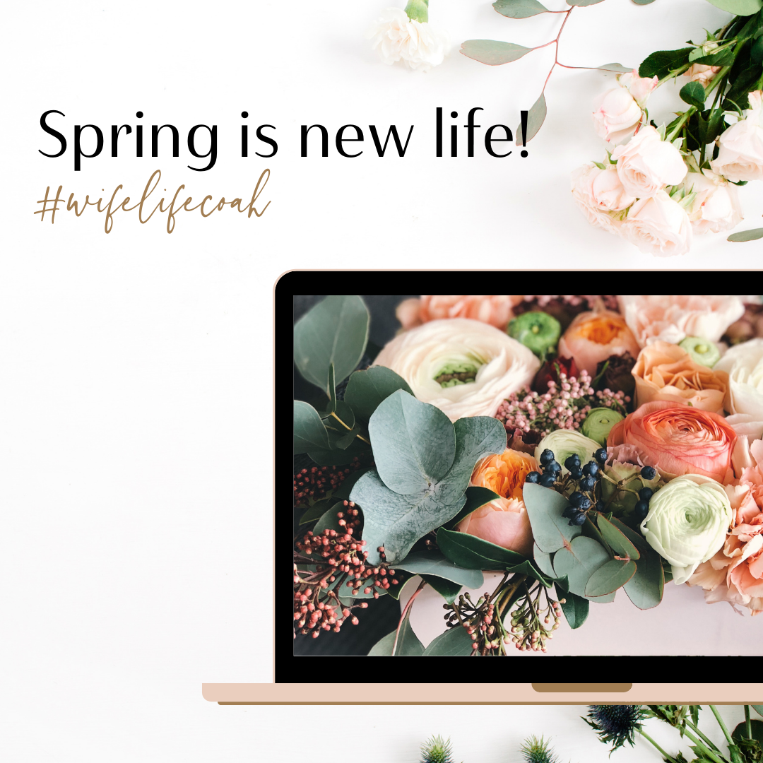 Spring Brings New Life