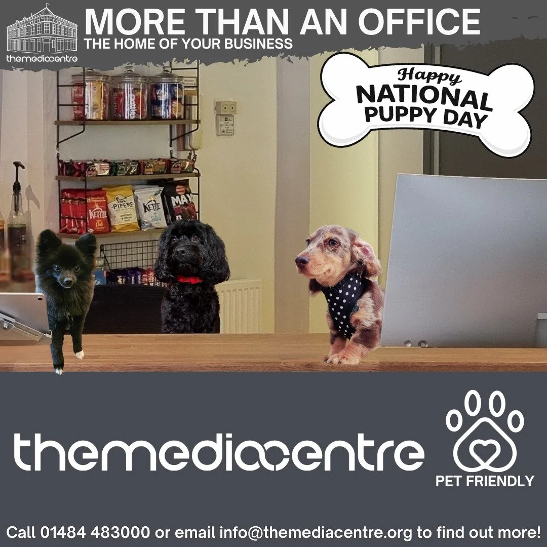 Happy National Puppy Day from our four legged colleagues Roxy, Tilly, and Duke.

Having pets in the workplace brings genuine benefits: they help reduce stress, encourage breaks that boost productivity, and create a more welcoming environment for staf