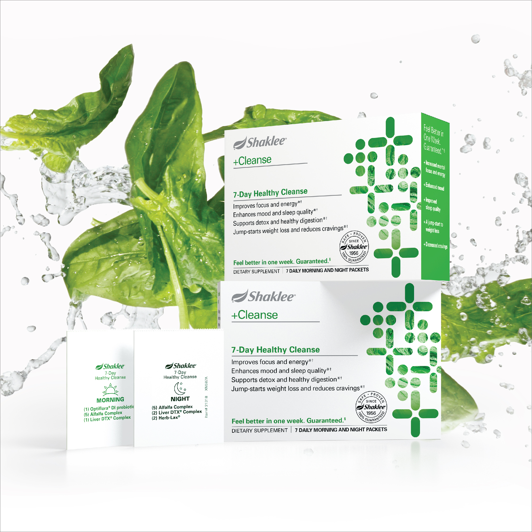 CleansePackageWithSpinach1.jpg