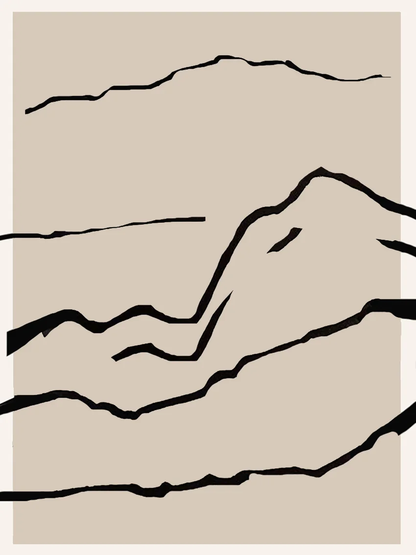 carpet 2.jpg