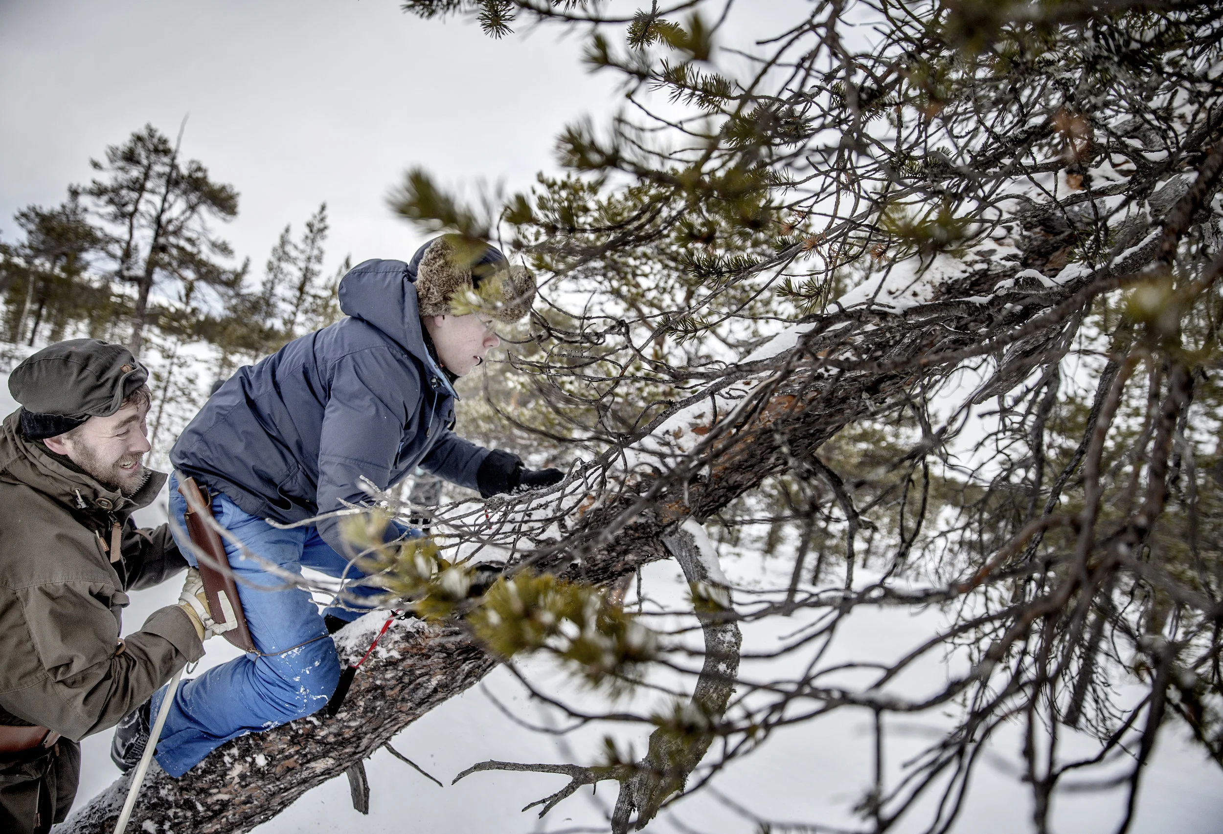Hvordan bygge indre styrke hos ungdom – Norsk Mestring