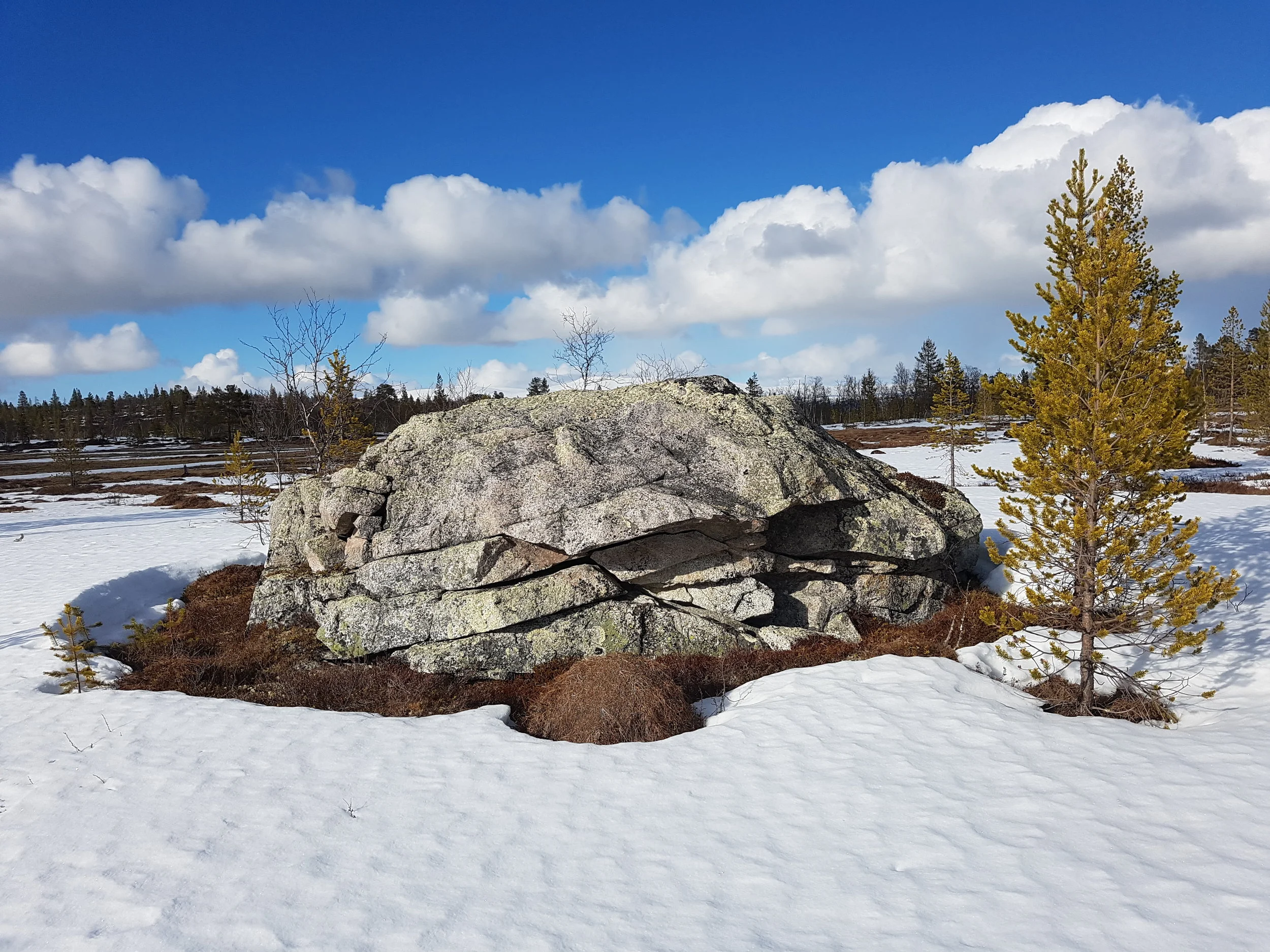Barmark og snø i Flensmarka