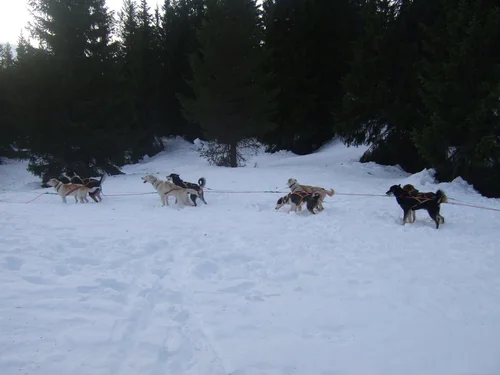 Arkivbilde fra Wildscapes feltarbeid.