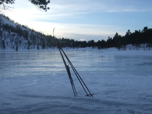 Arkivbilde fra Wildscapes feltarbeid.