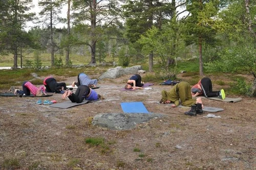 Arkivbilde fra Wildscapes feltarbeid.