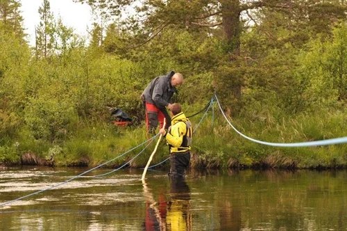 Arkivbilde fra Wildscapes feltarbeid.
