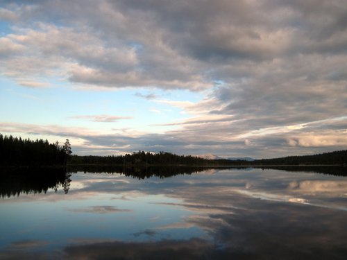 Arkivbilde fra Wildscapes feltarbeid.
