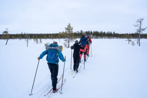 En gruppe på ski, sett bakfra.