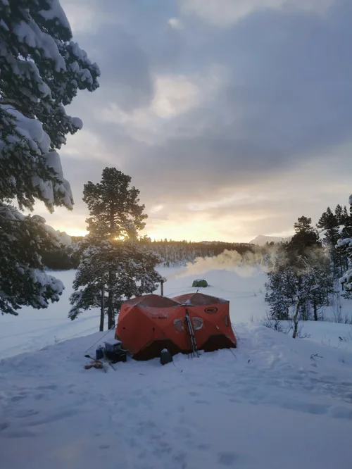 Leir i snødekt skog.