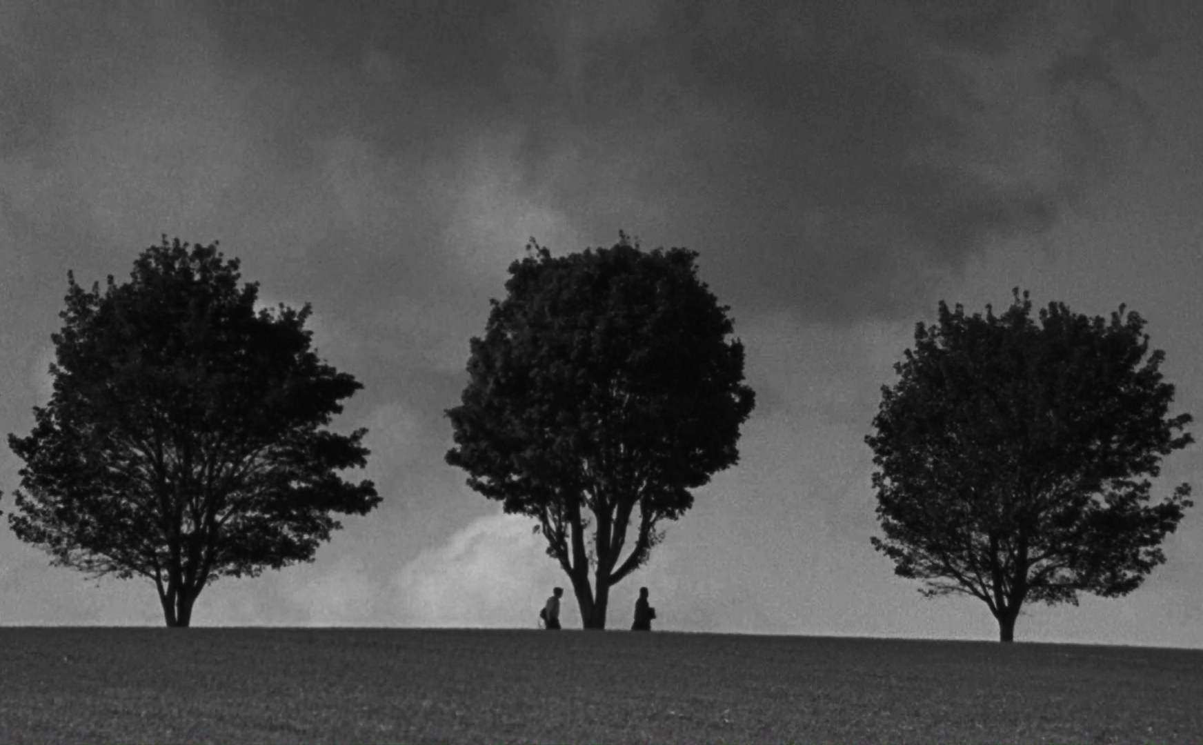 3-trees-cutaway.png