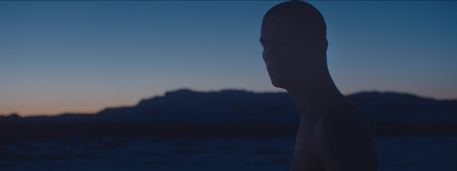 Untitled_1.1.14.png