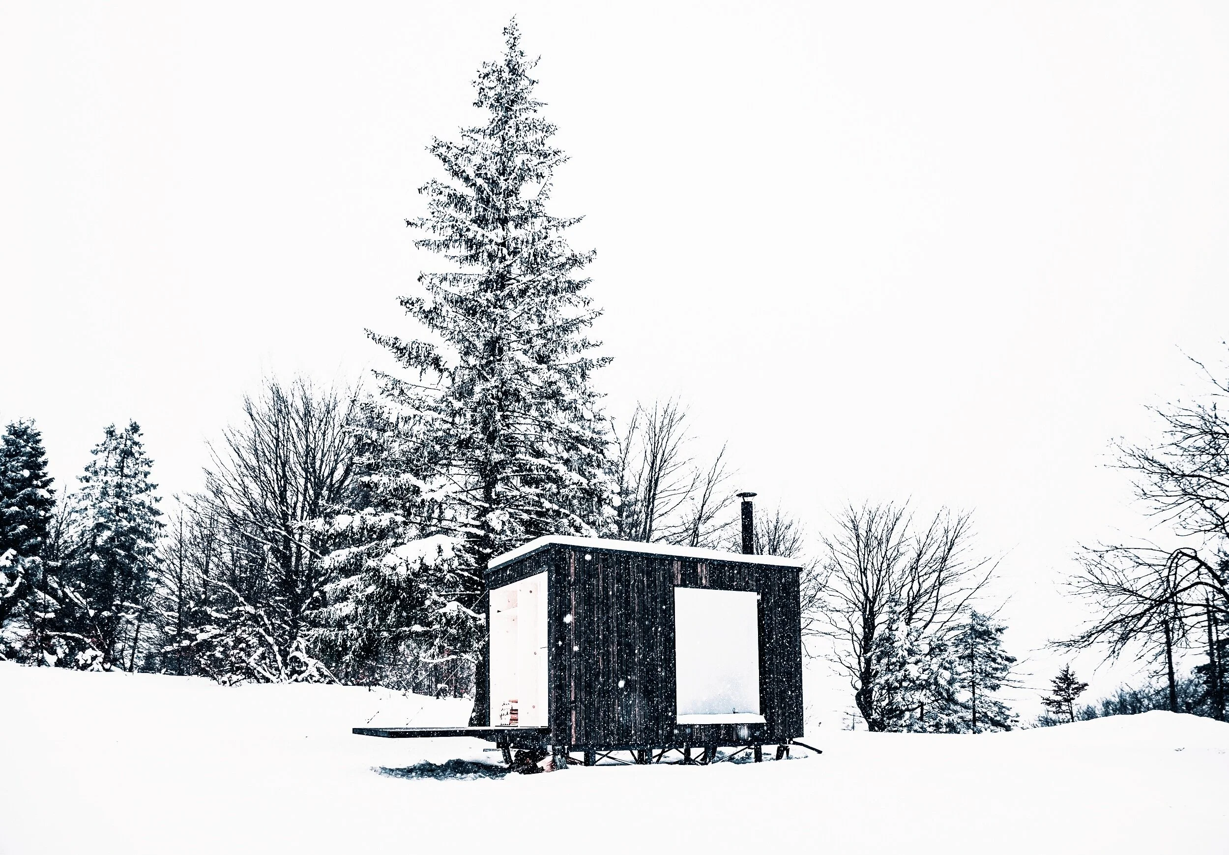 Ark Sauna