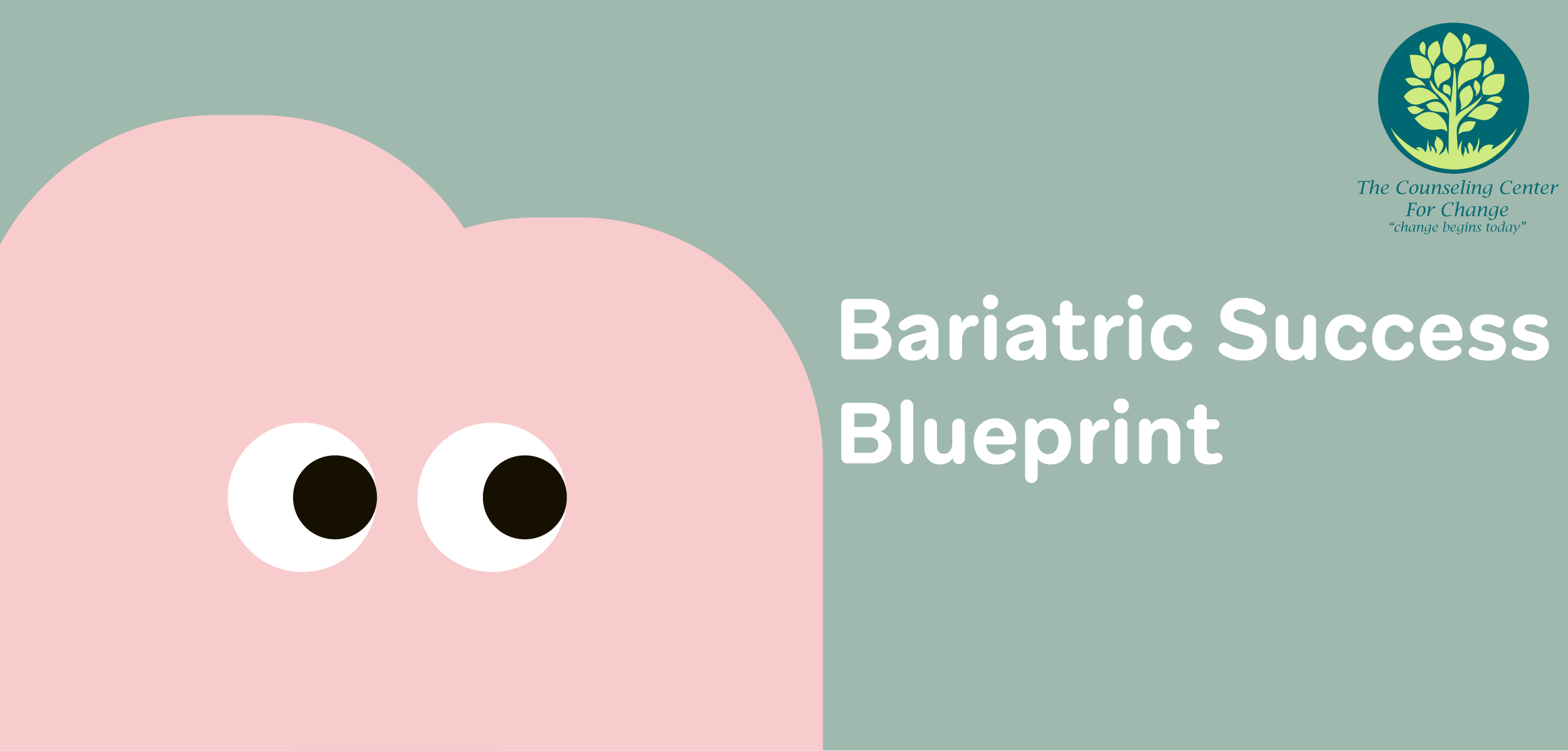 Ready, Set, Go! Bariatric Success Blueprint Group Program