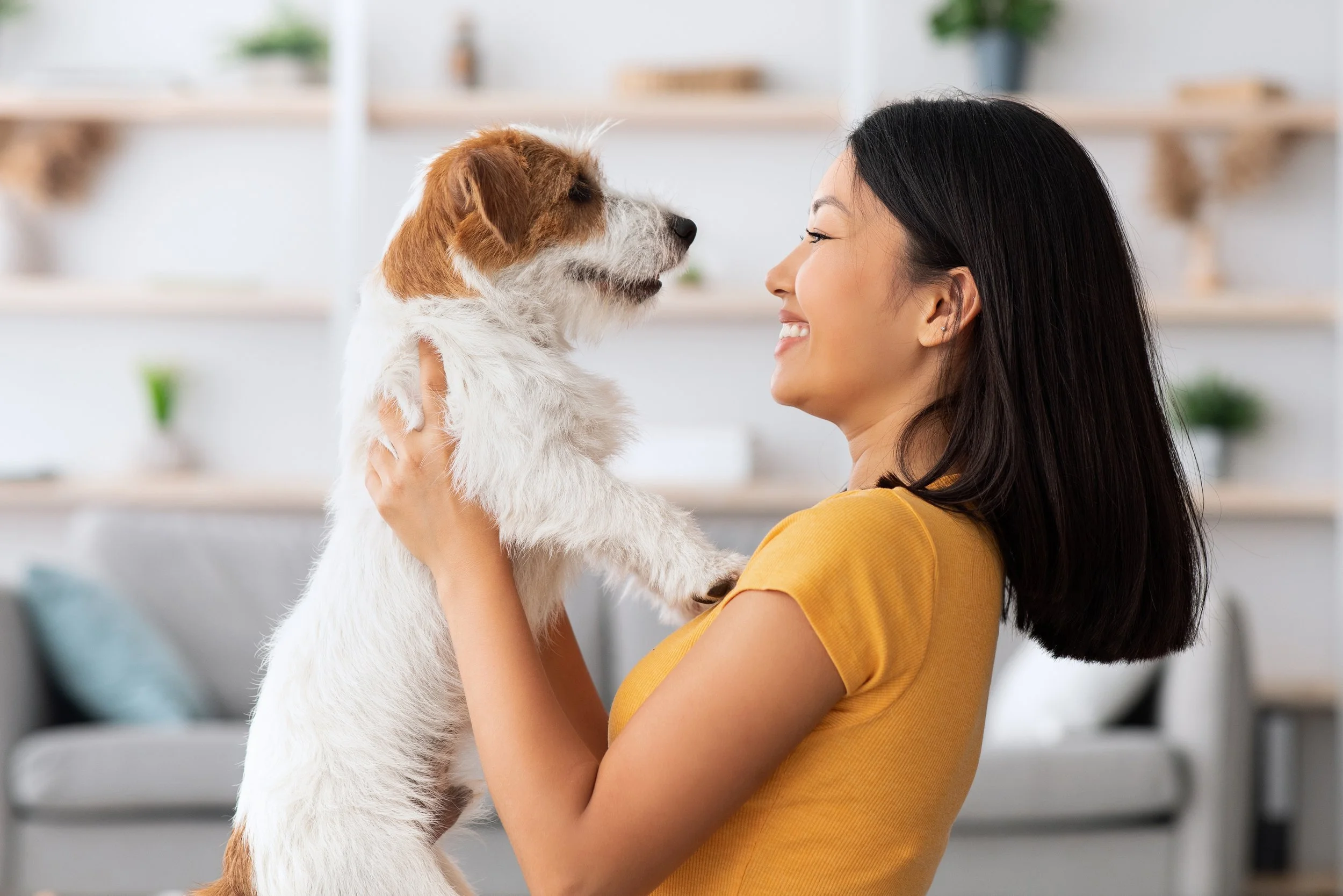 Sometimes Therapy Has Four Legs and a Tail: The Healing Power of Animals and Nature