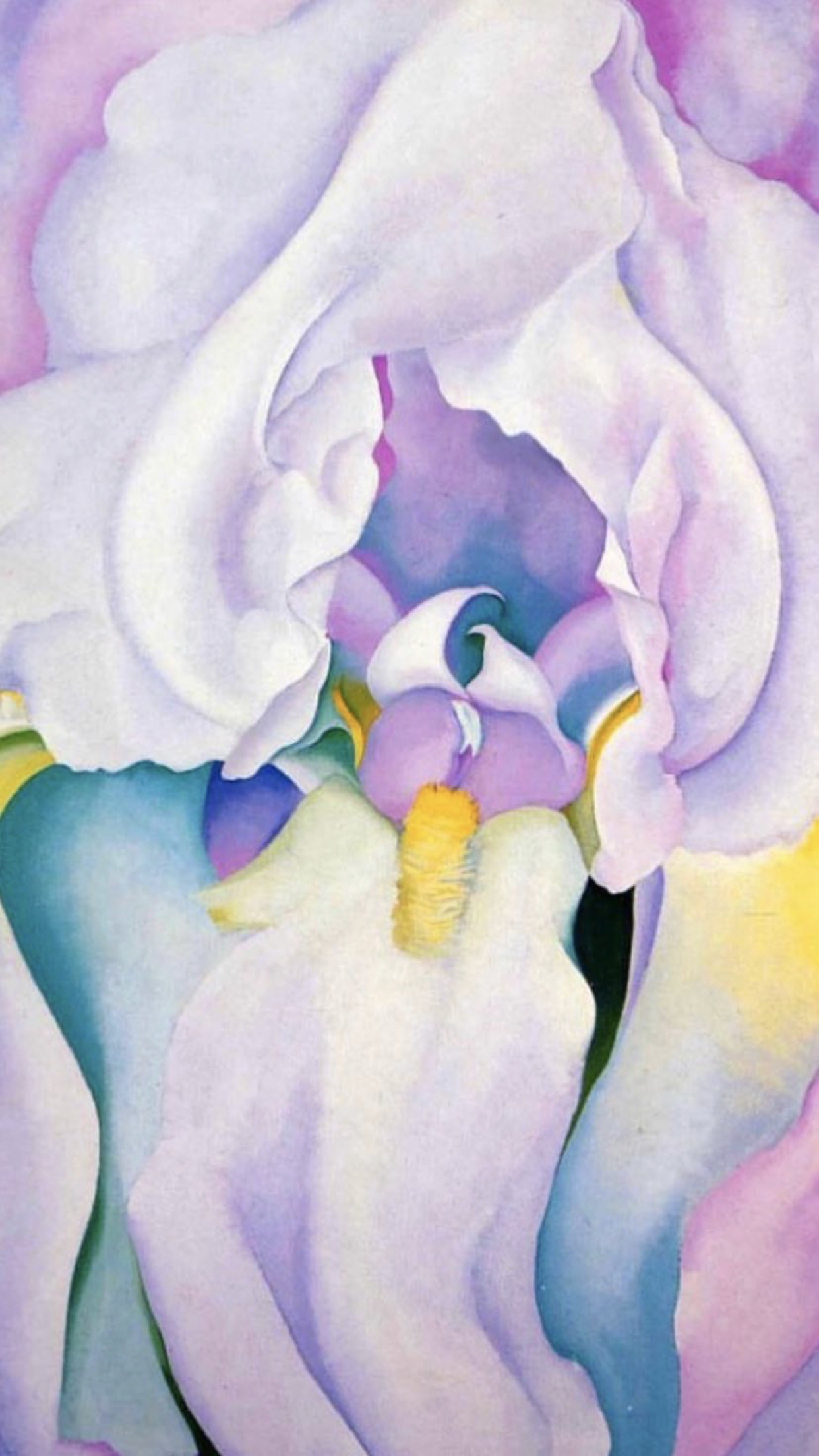 Plan B & Dollar Tree