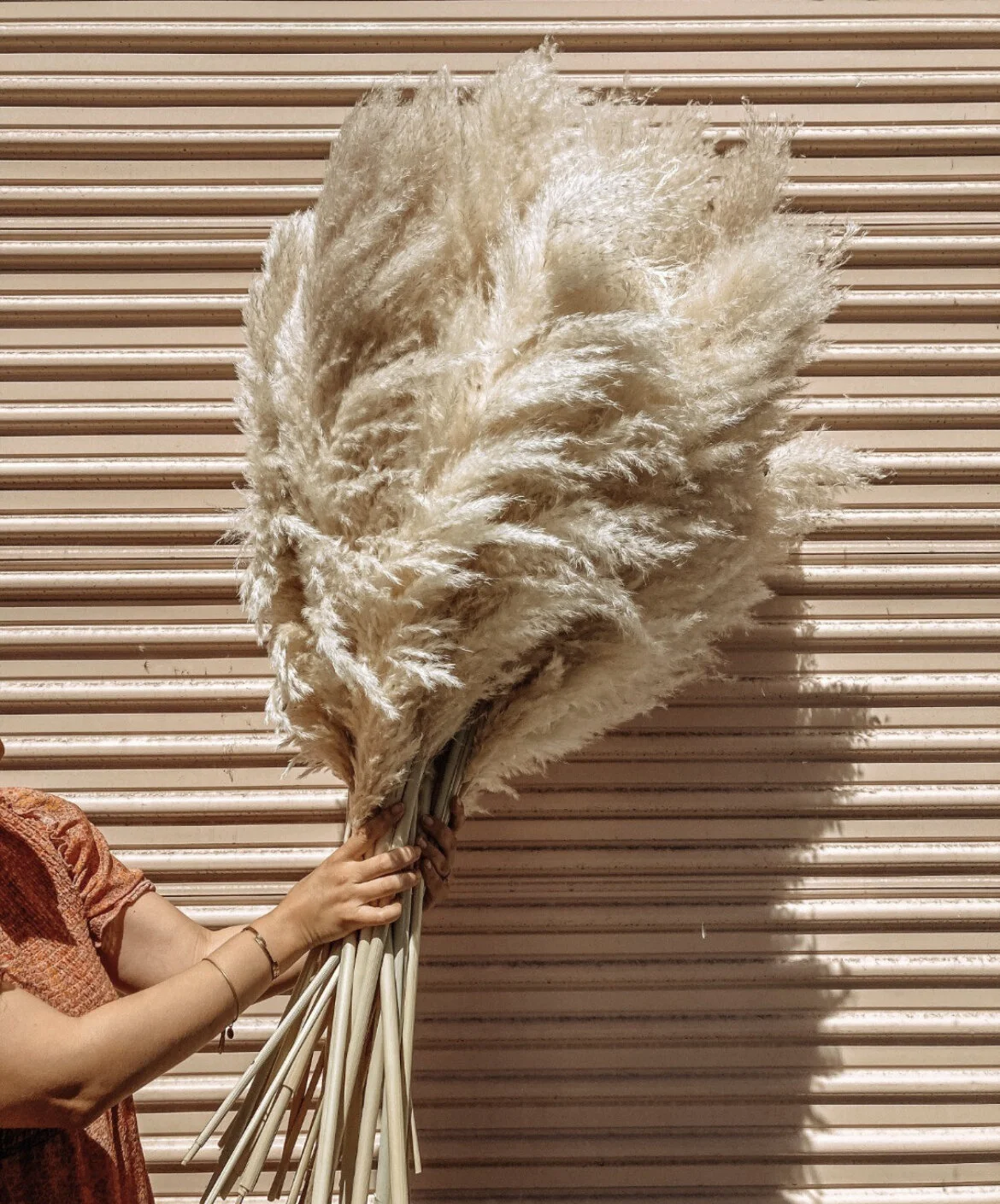 2C3A95CC-7879-4311-9DDD-8D40A492254E