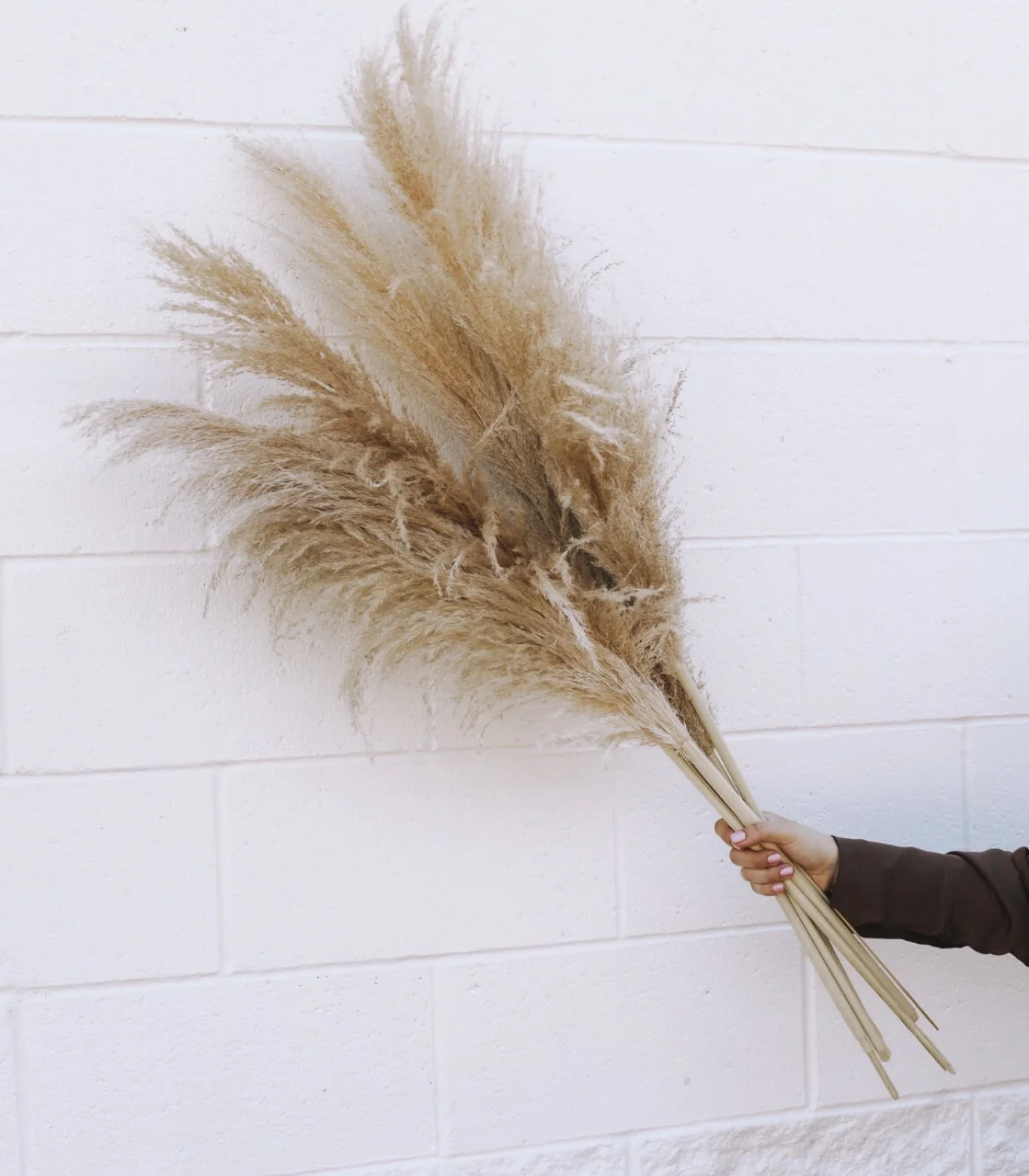 AE29D494-4D97-4F15-97F2-498C332B29C5