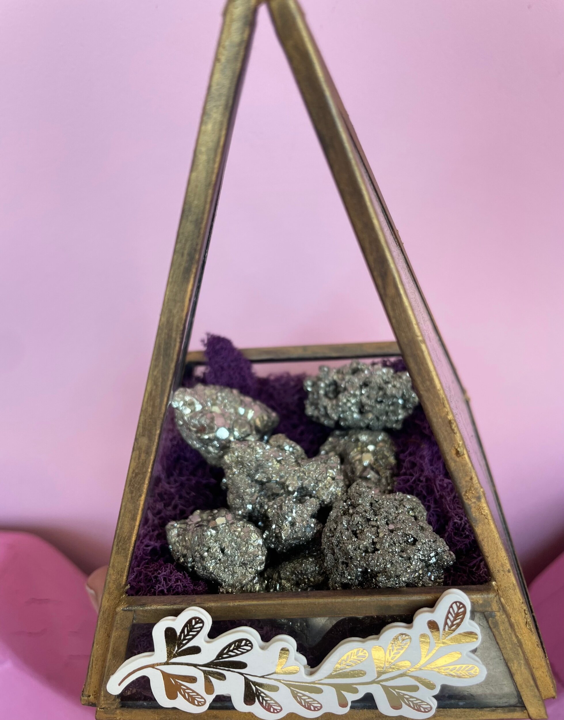 089962C6-4ED3-4737-B1BC-359D1857232D