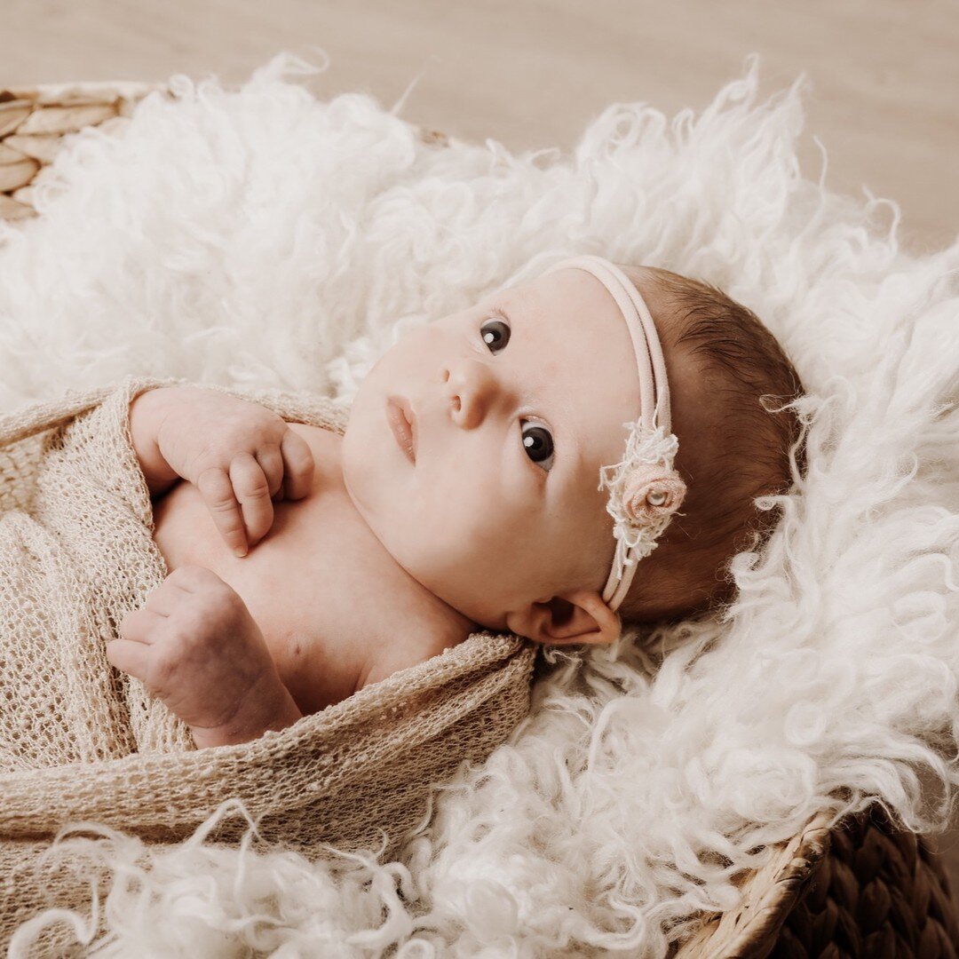 Dieses kleine Wunder, hat mich diese Woche besucht und ich hab&acute;mich sofort verliebt! #baby #newborn #newbornphotography #kempten #allg&auml;u #fotostudio #fotograf #fotografin #babygirl #babyboy #schwanger #babybauch #liebeimbauch #toddler #lov