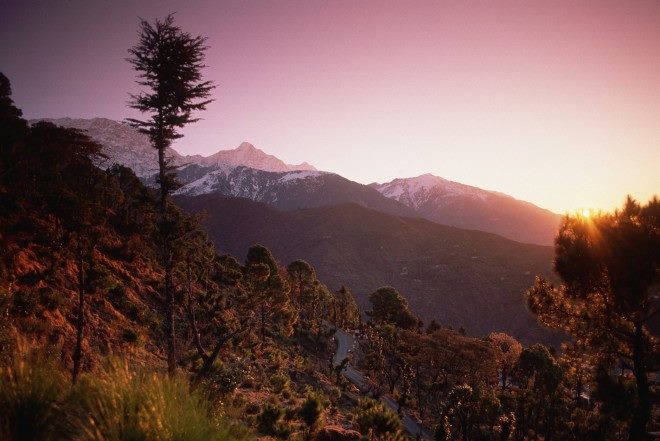 View from the resort in Dharamshala, India.