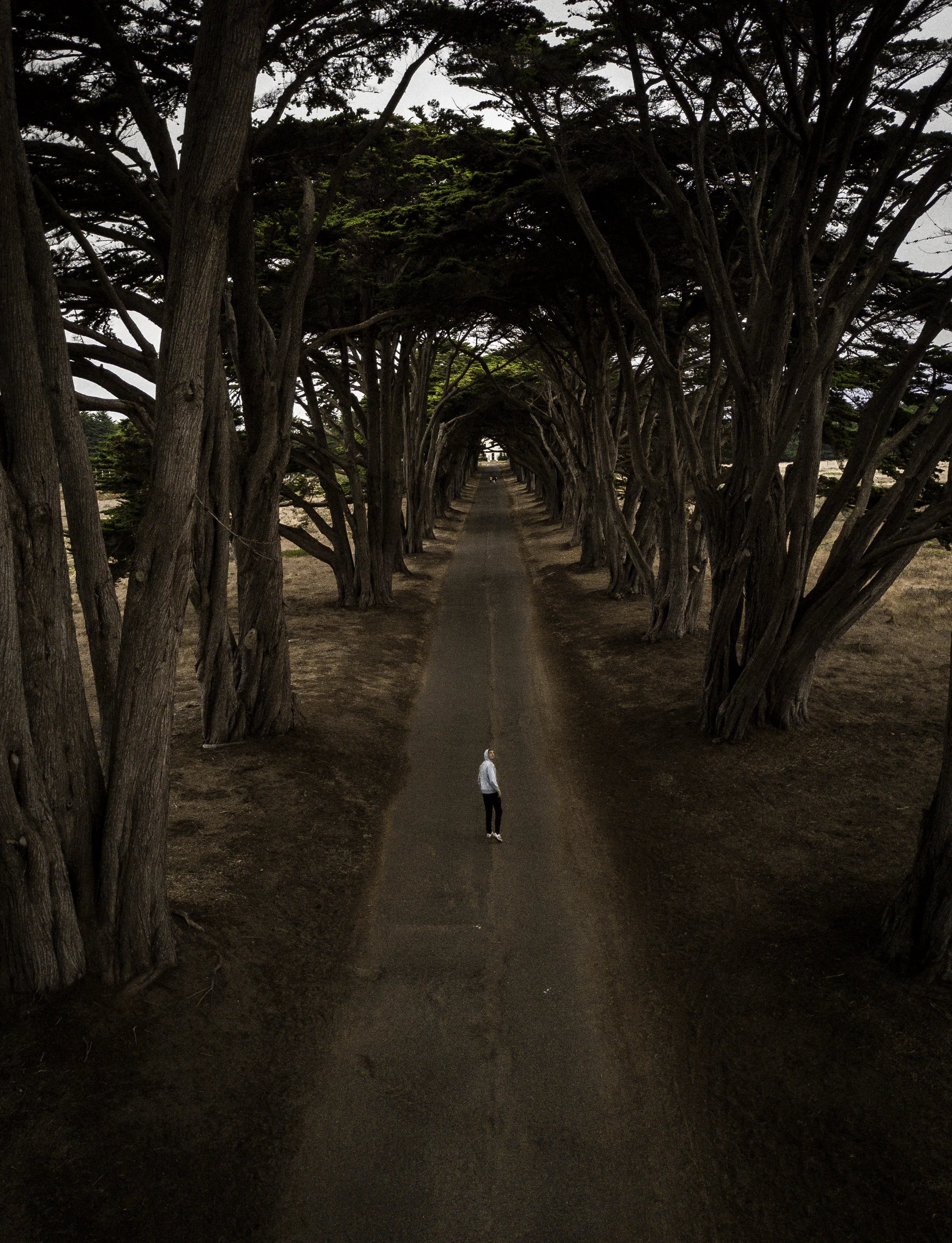 DJI_0004.jpg