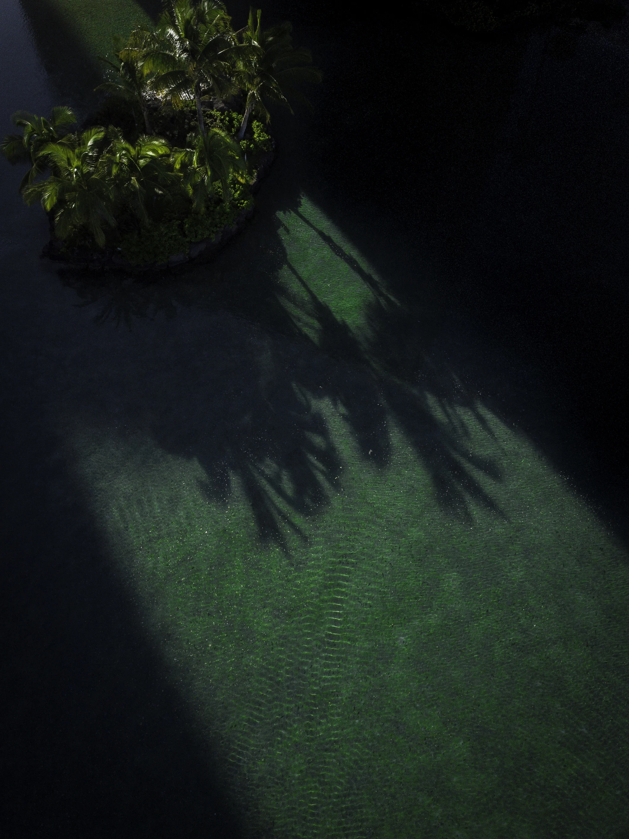 DJI_0644.jpg