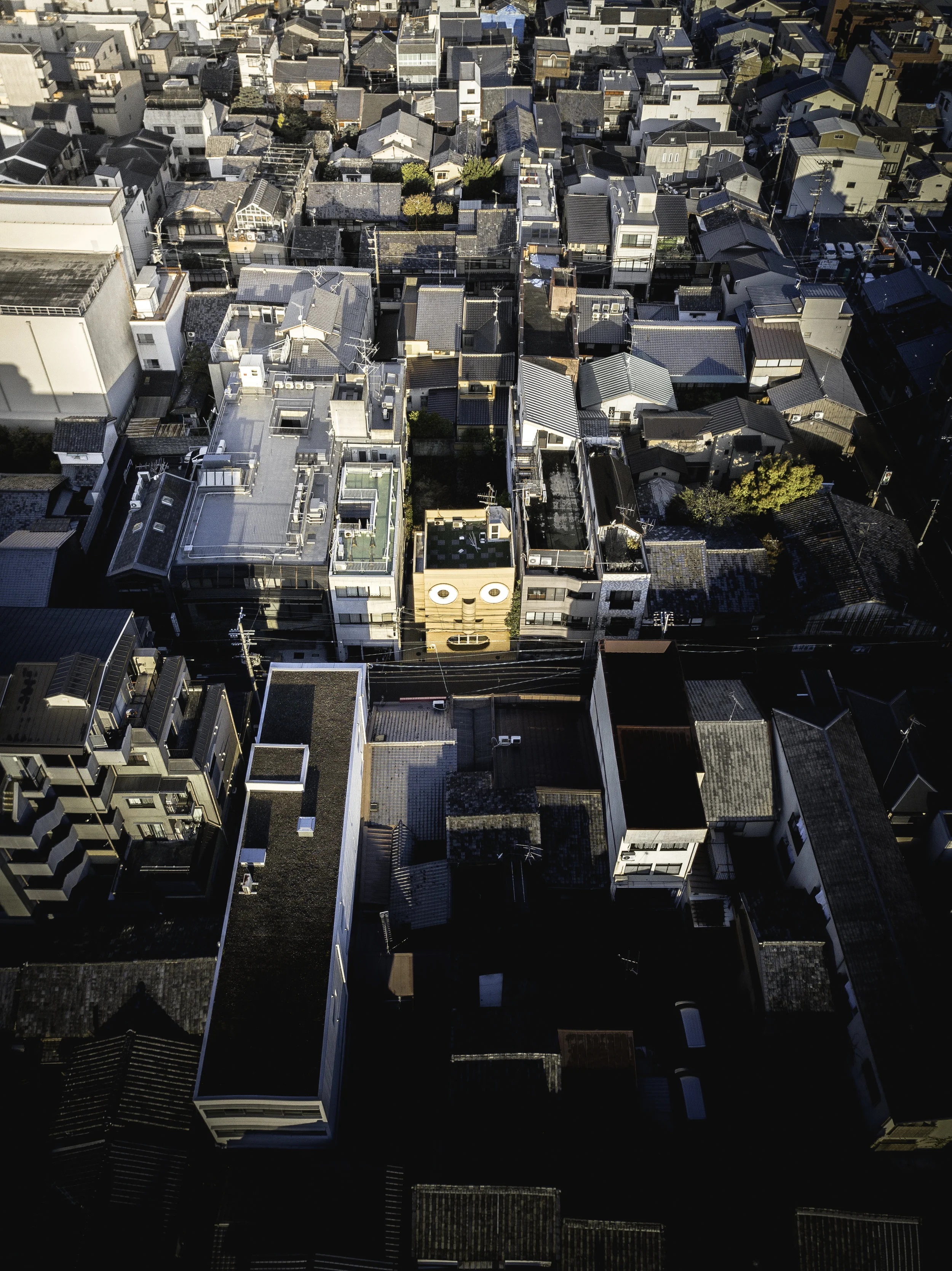 DJI_0010.jpg