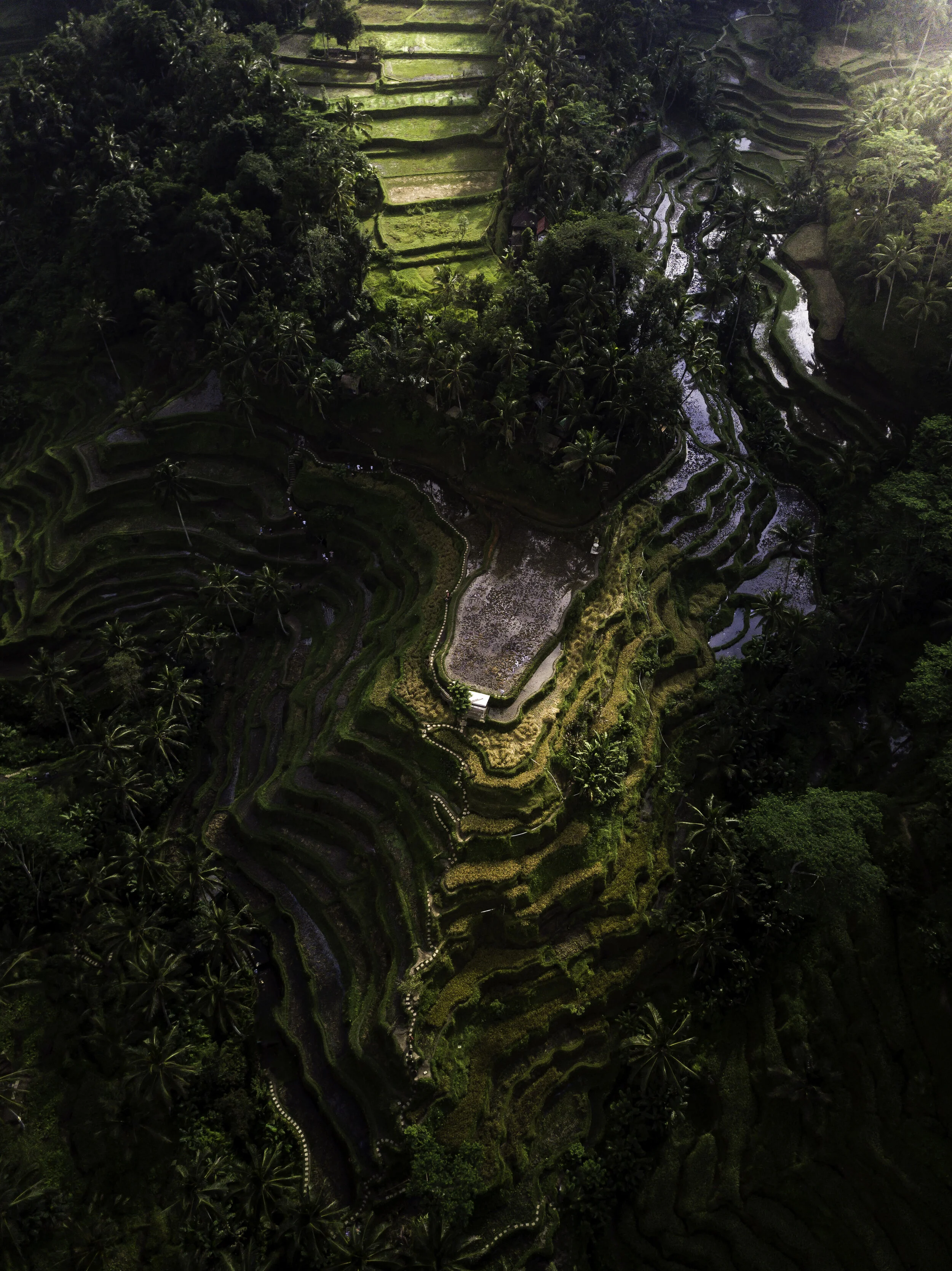 DJI_0153-Modifier.jpg