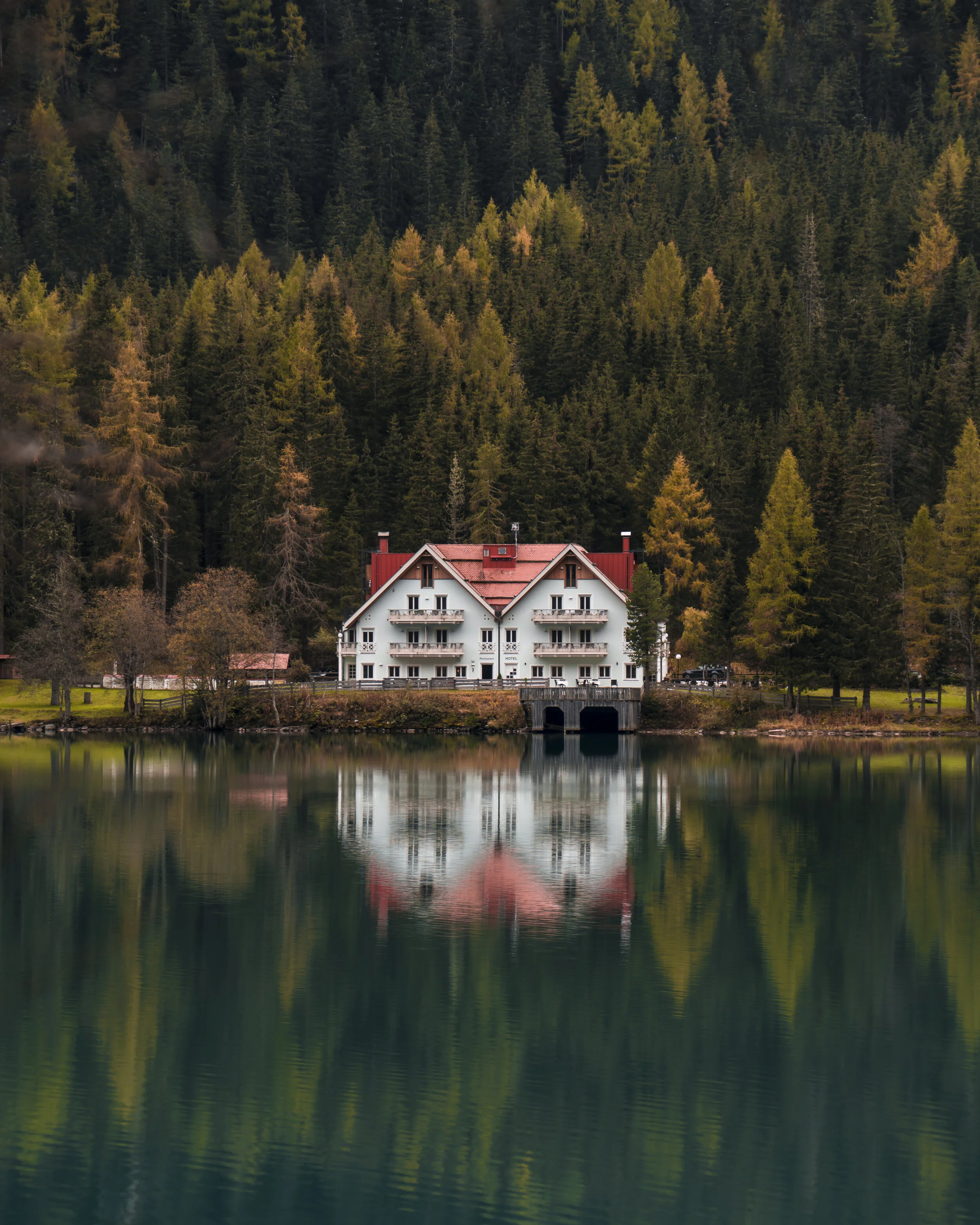 _DSC6976-Modifier.jpg